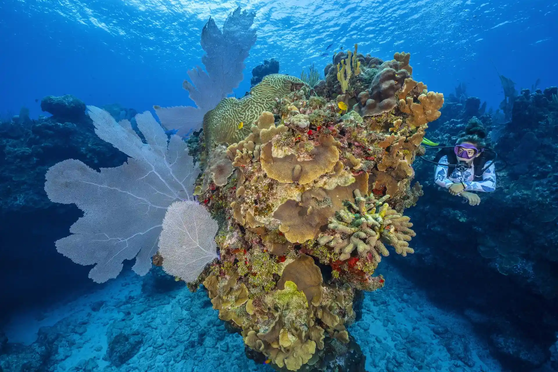 Dive site photo