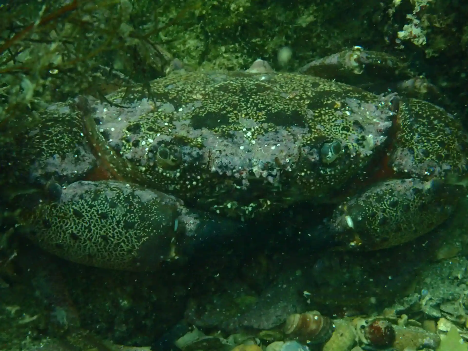 Dive site photo