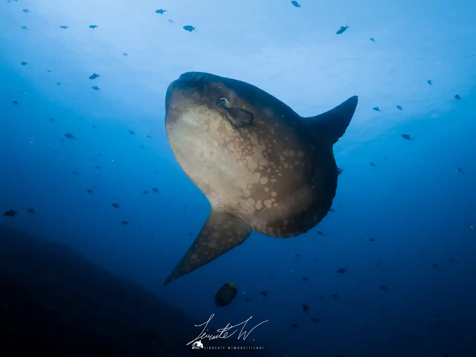 Foto de la actividad