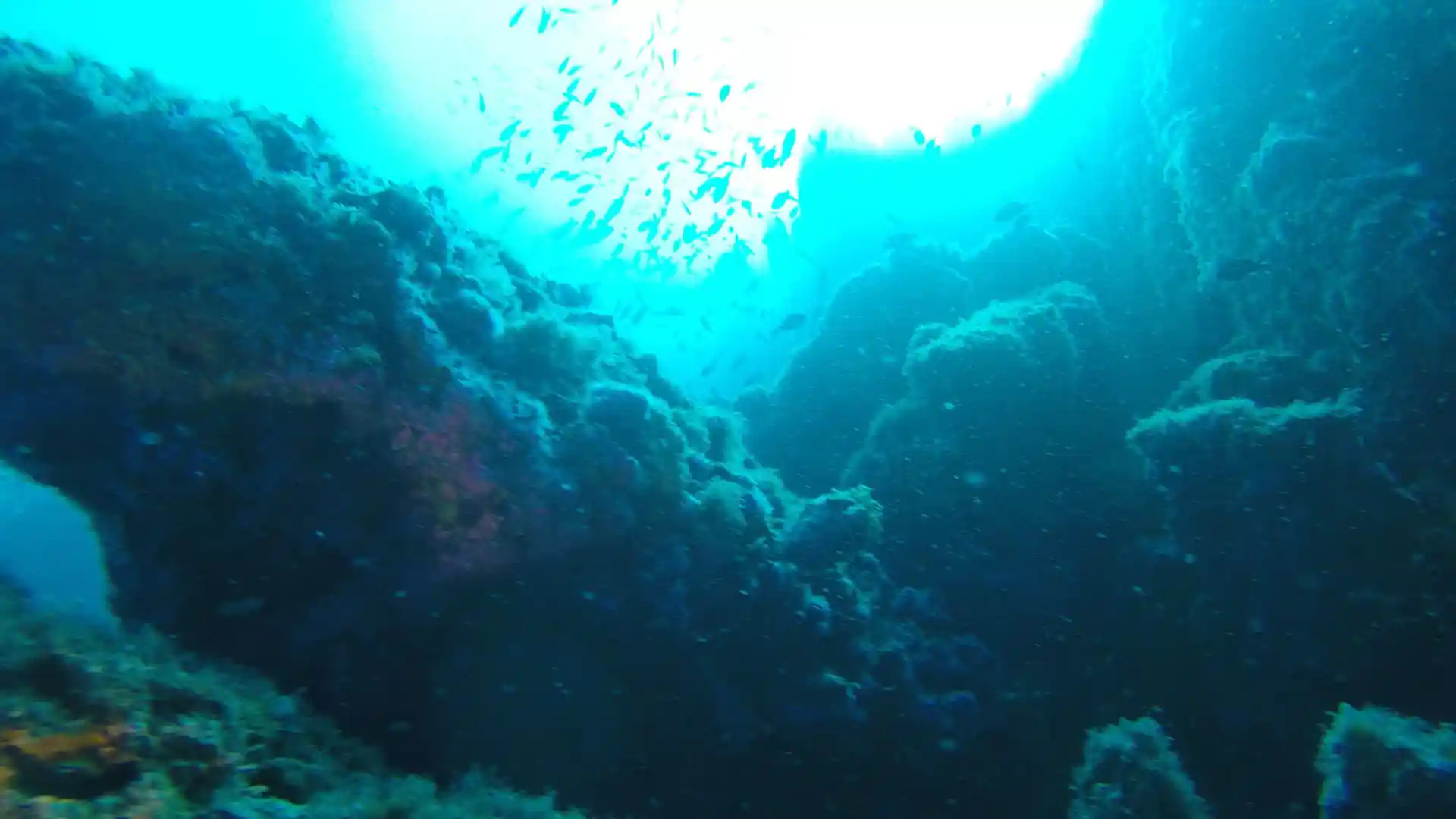 Dive site photo