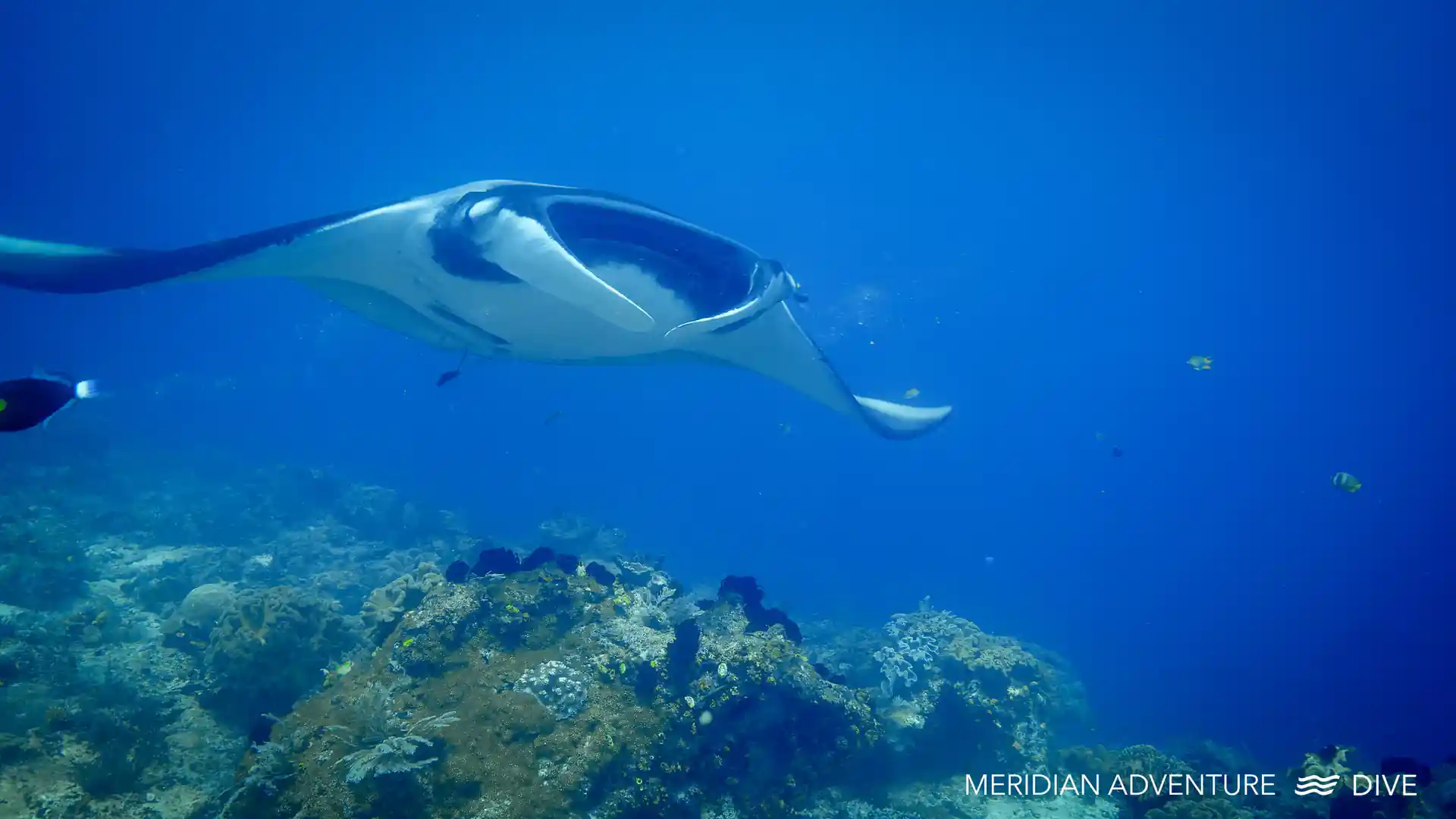 Foto de la actividad