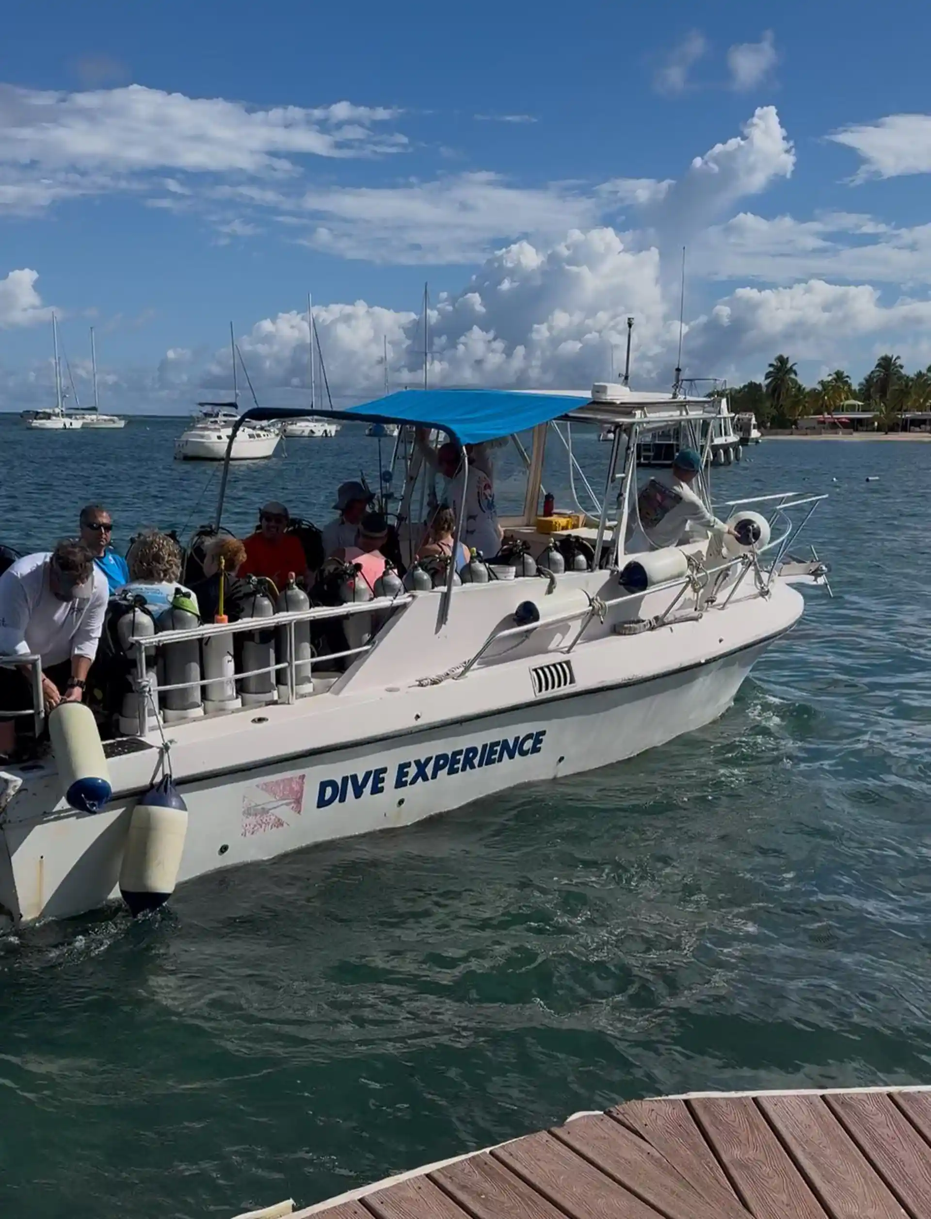 Dive shop photo