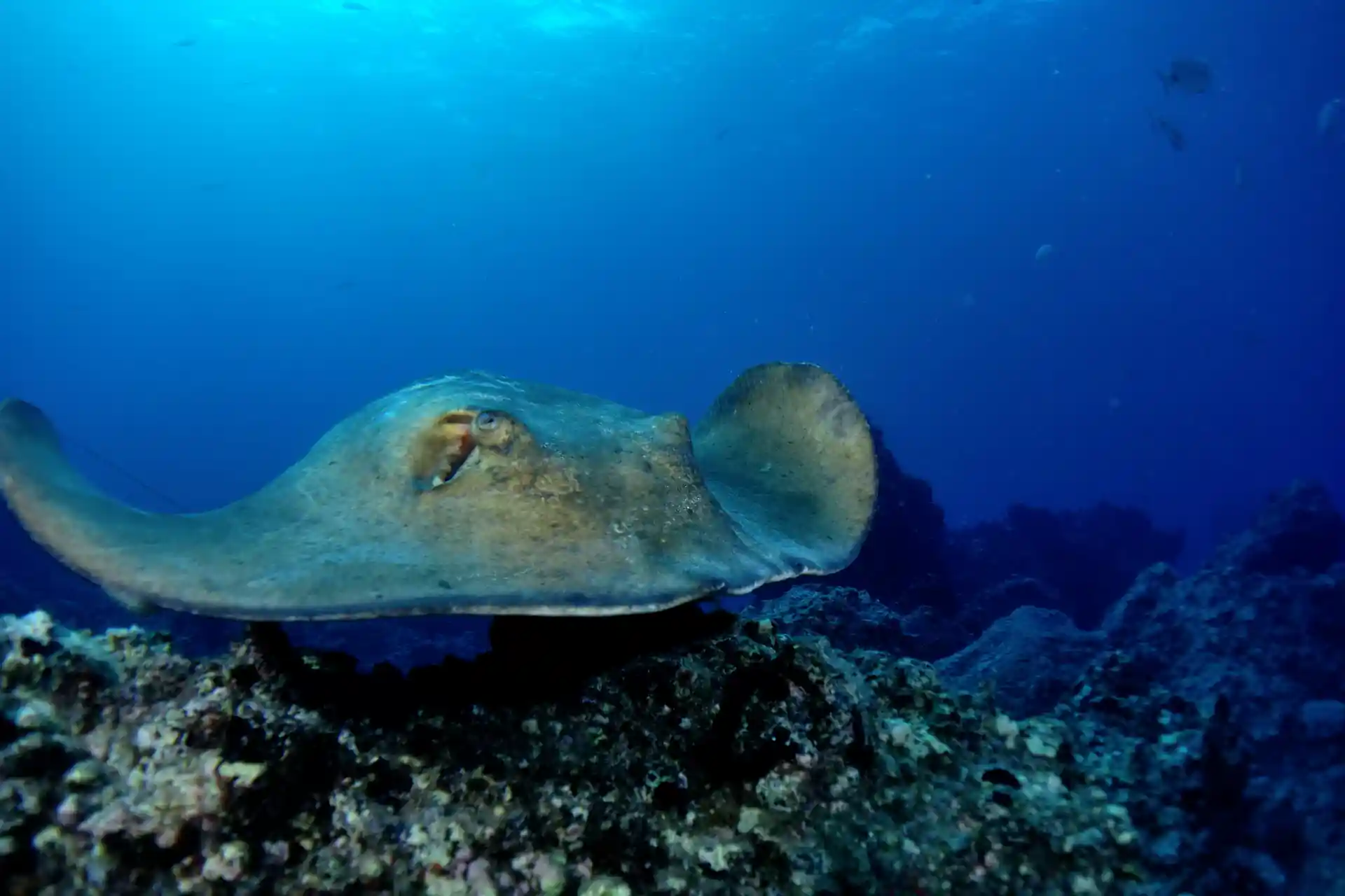 Foto de la actividad