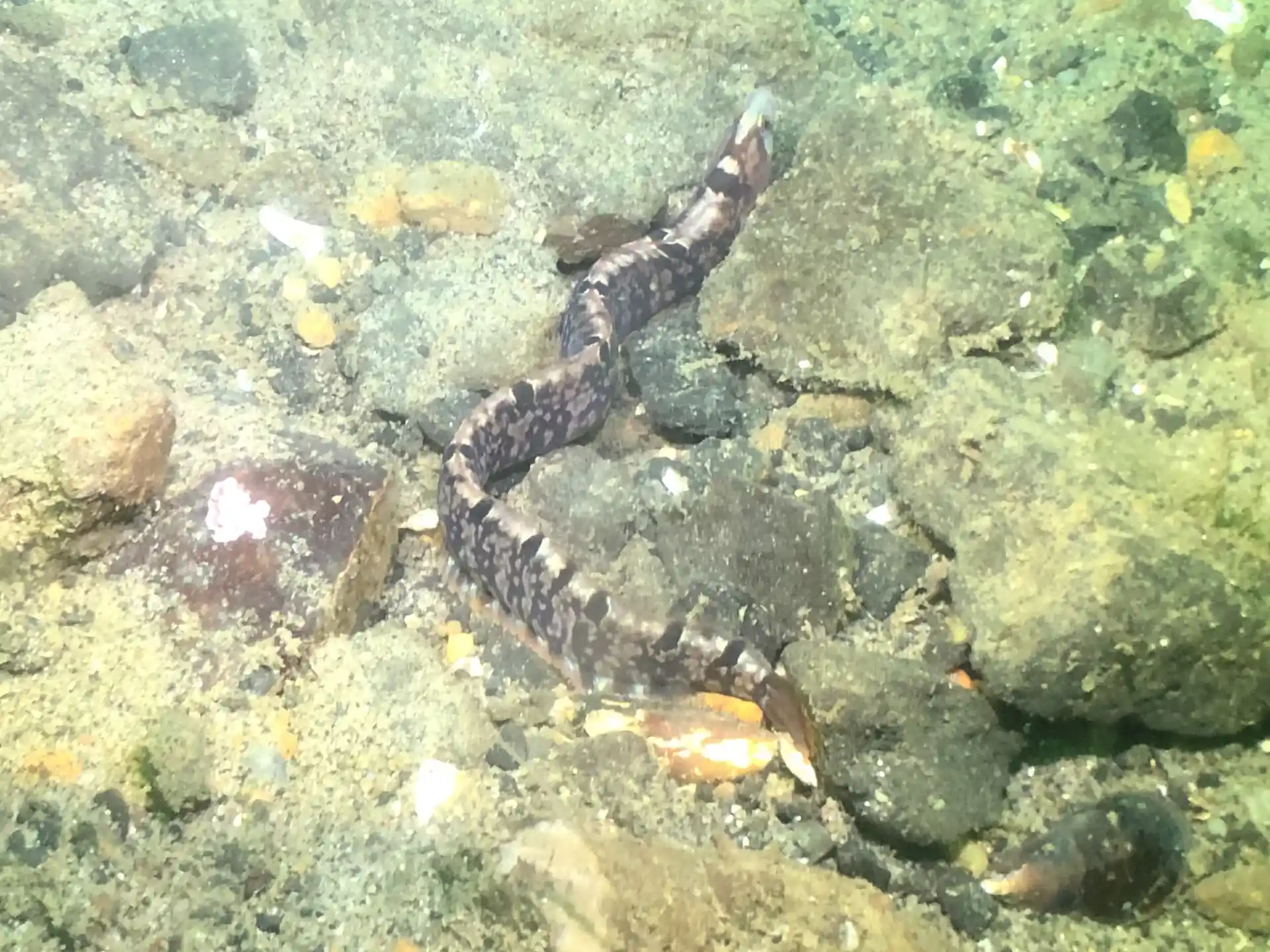 Foto de la actividad