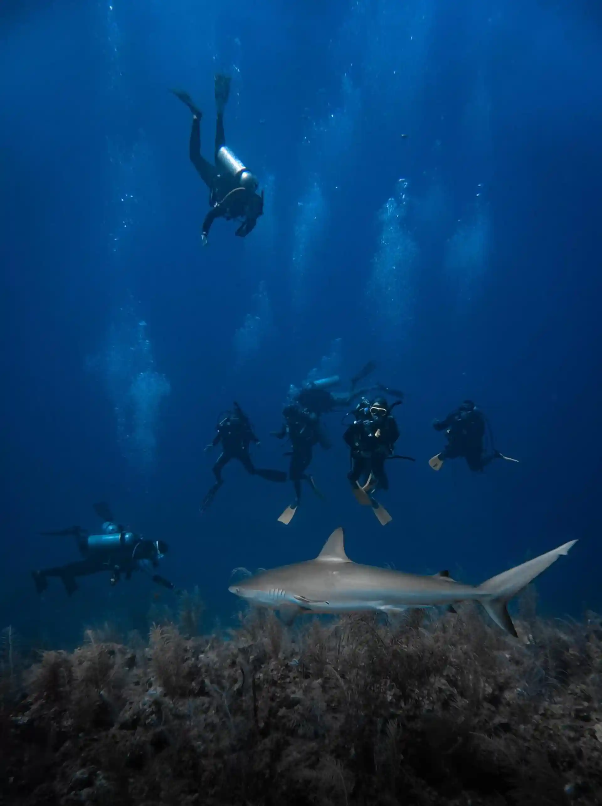 Foto de la actividad