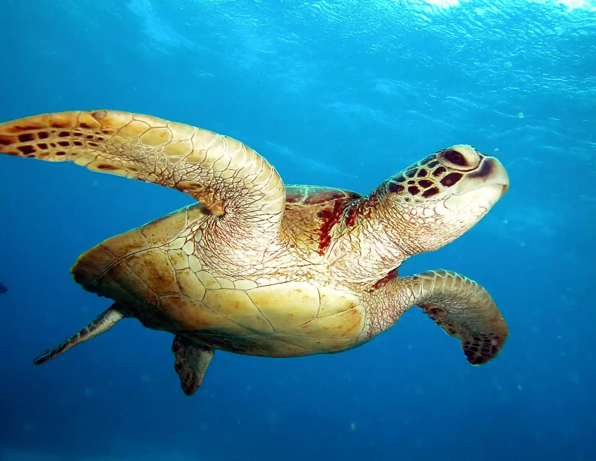 Dive site photo