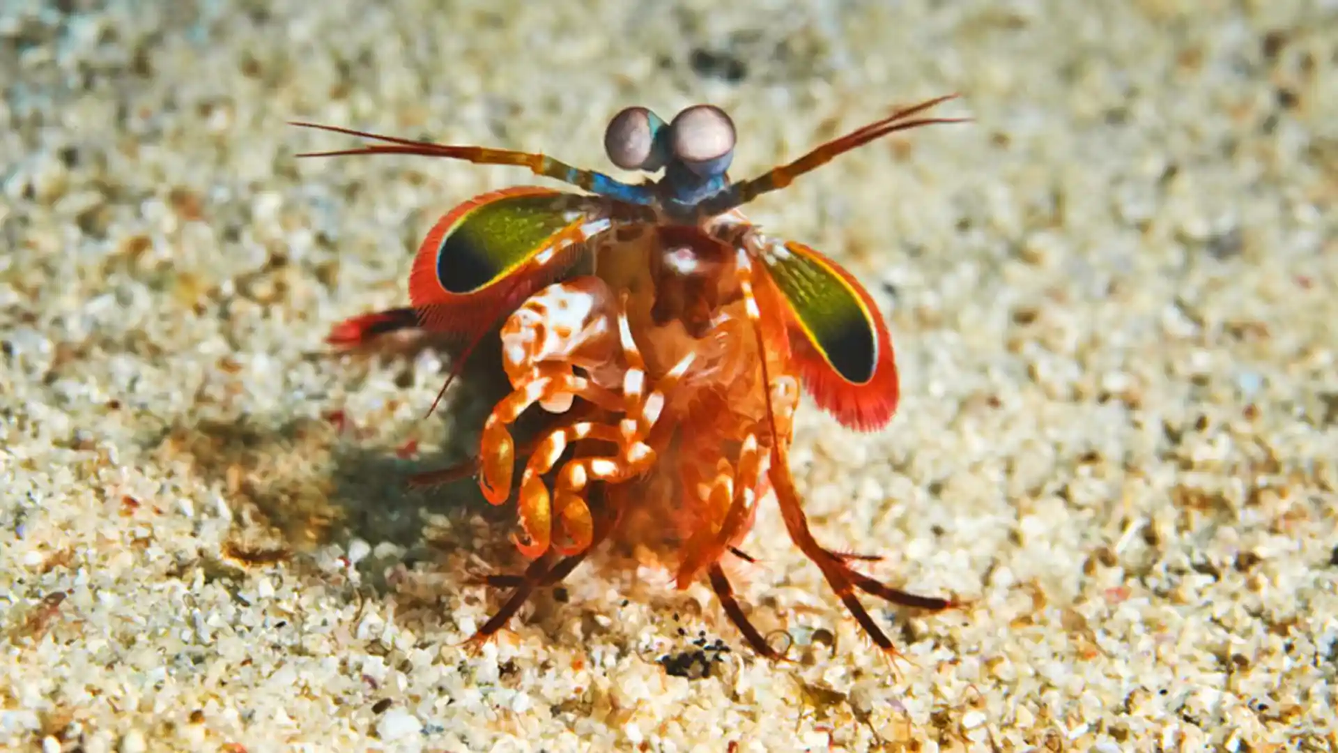 Foto del sitio de buceo