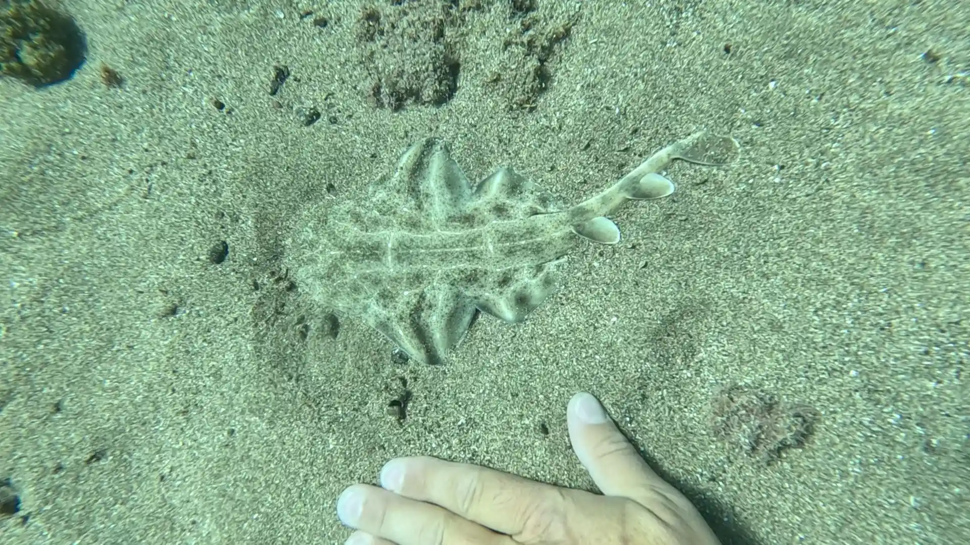 Foto del sitio de buceo