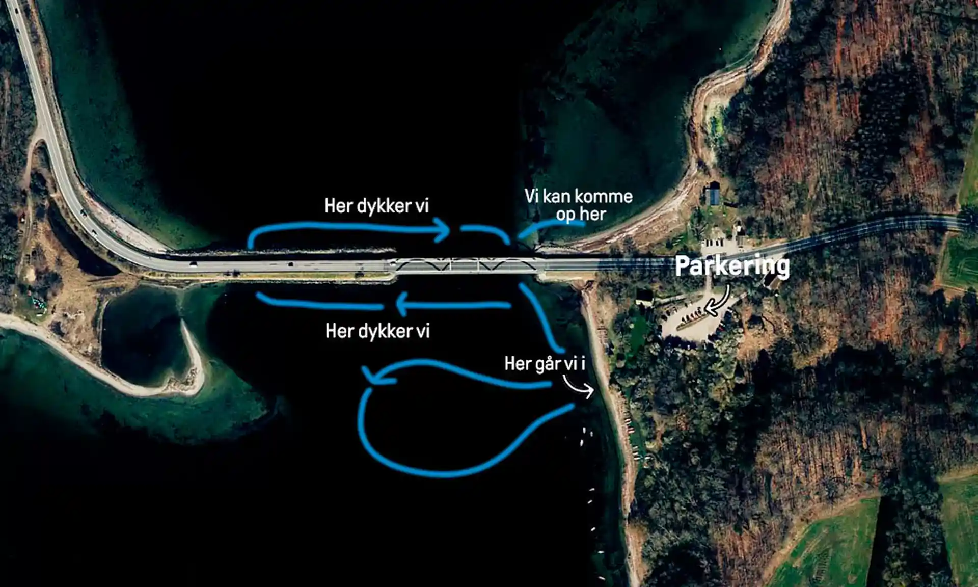 Dive site photo