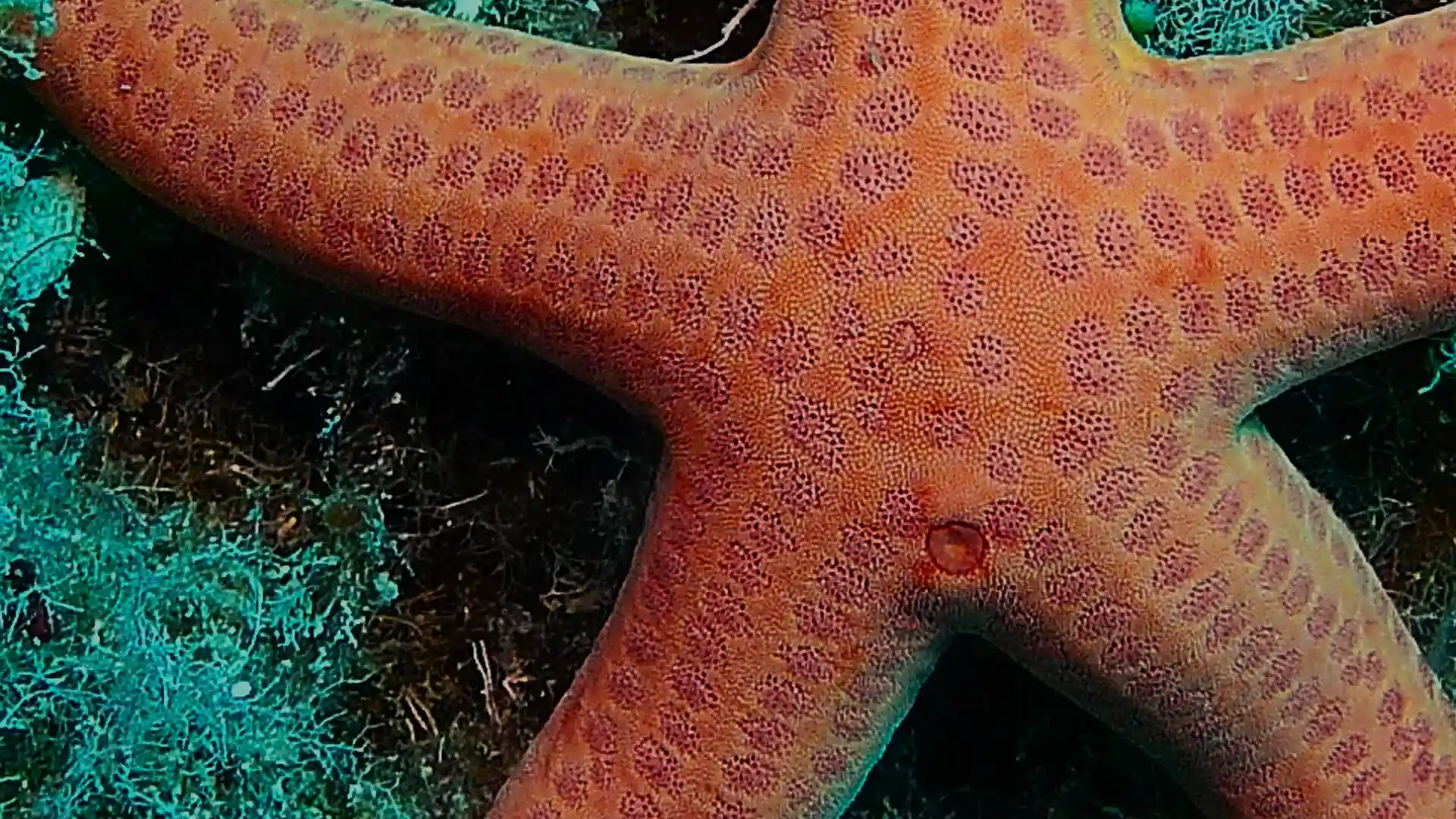 다이빙 포인트 사진