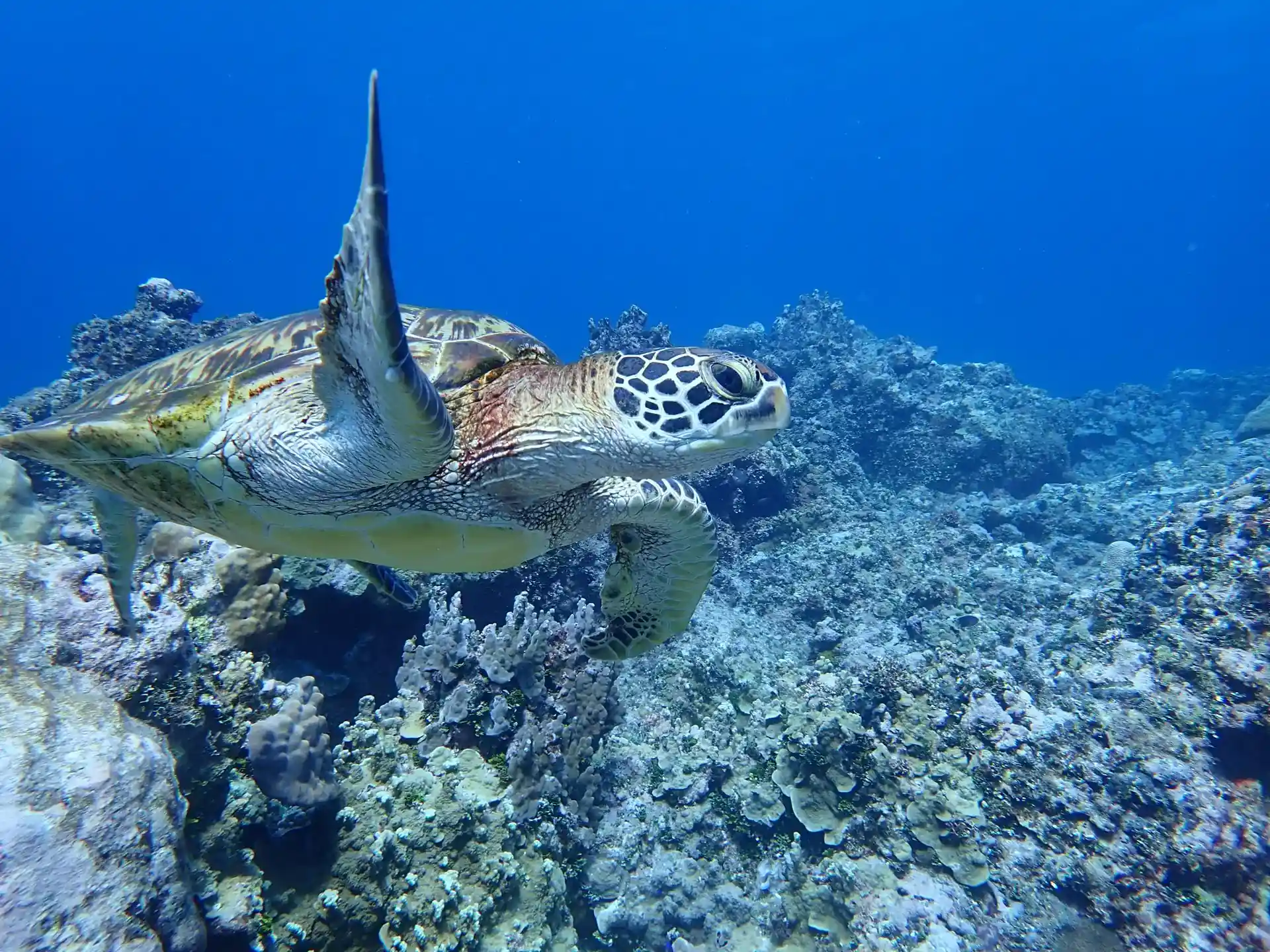 Dive site photo