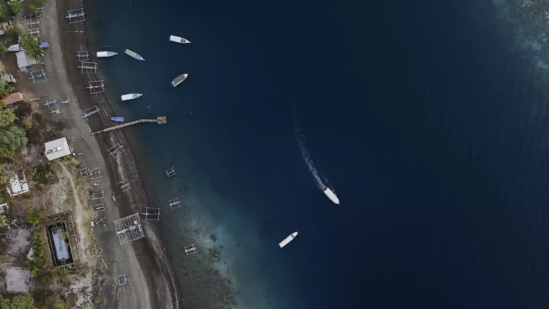 アクティビティ写真