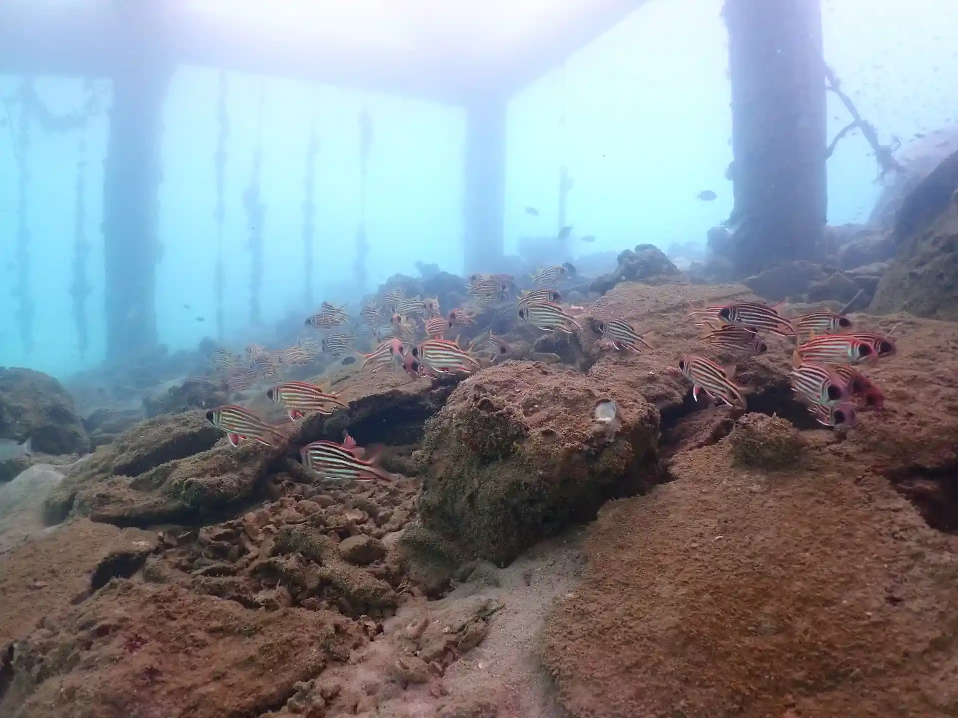 Dive site photo