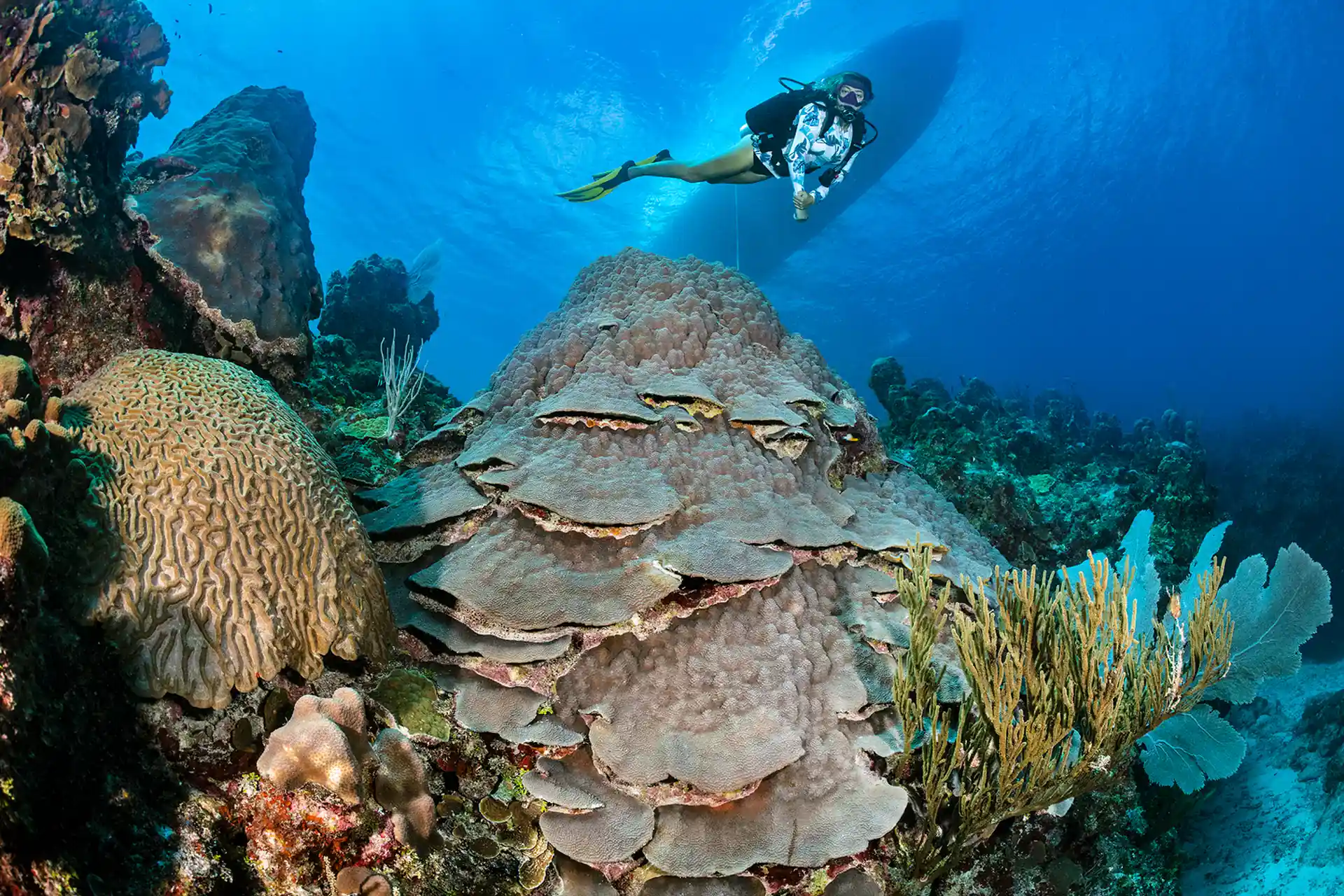 Dive site photo