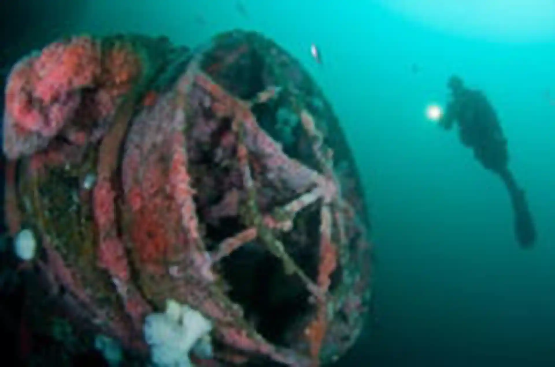 Dive shop photo