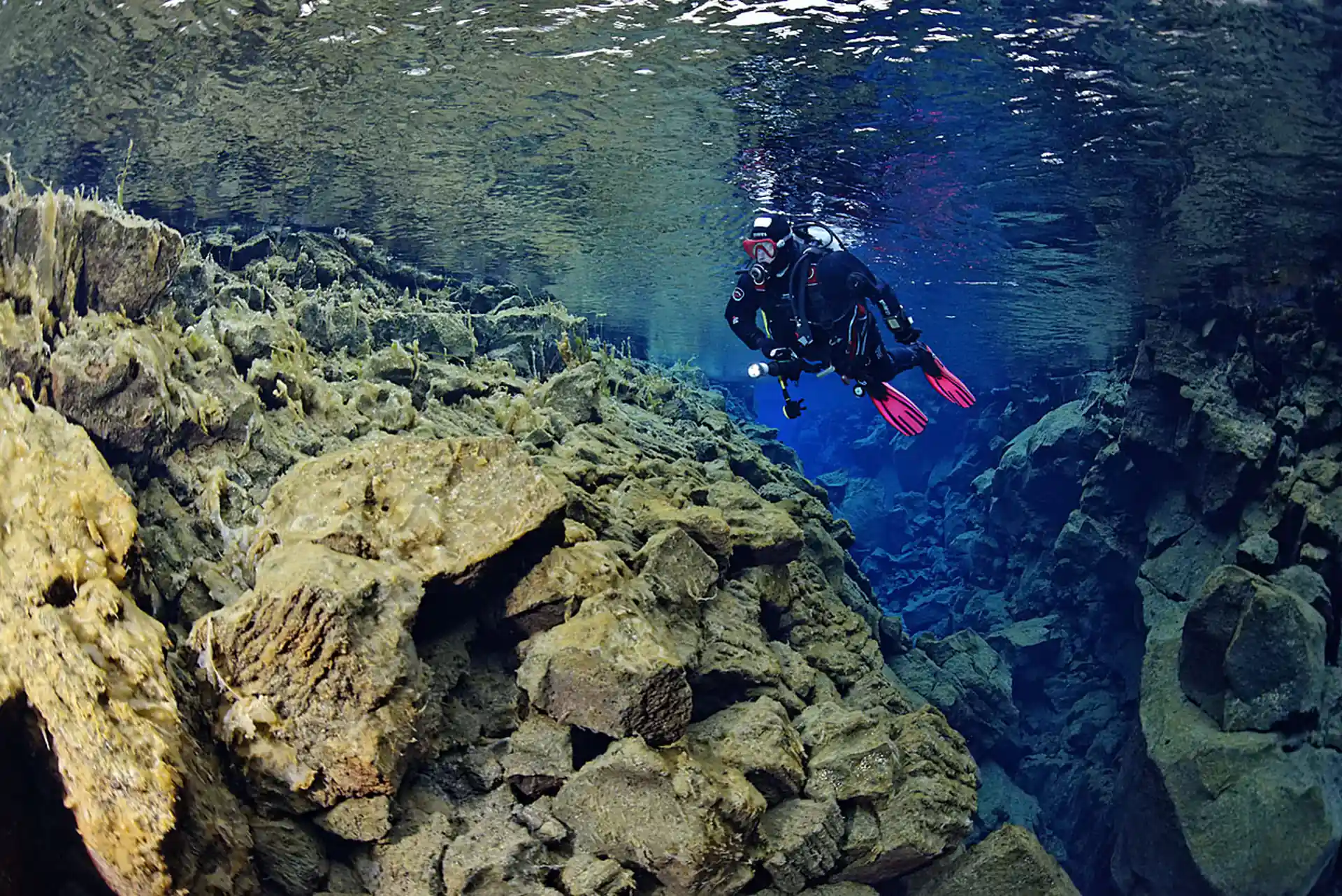 Dive site photo