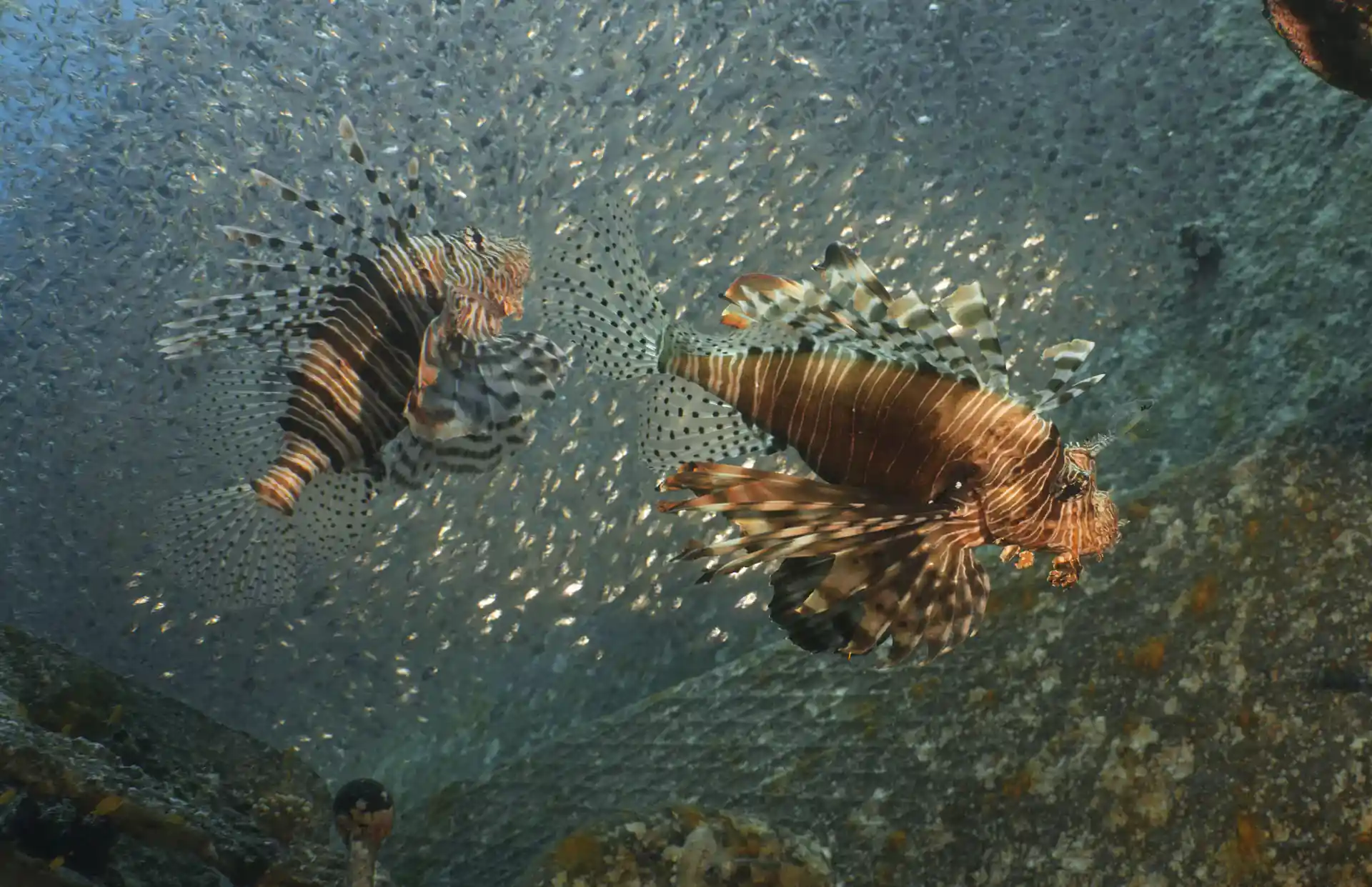 Foto de la actividad