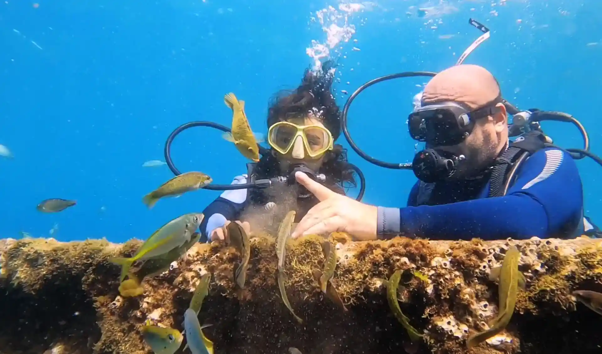 Foto de la actividad