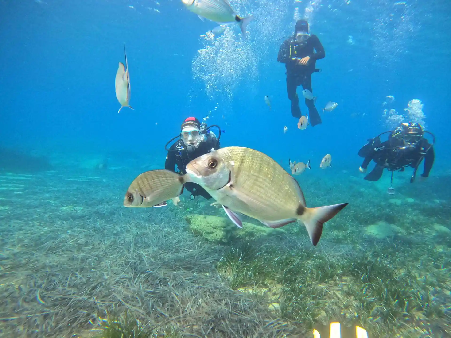 Dive site photo