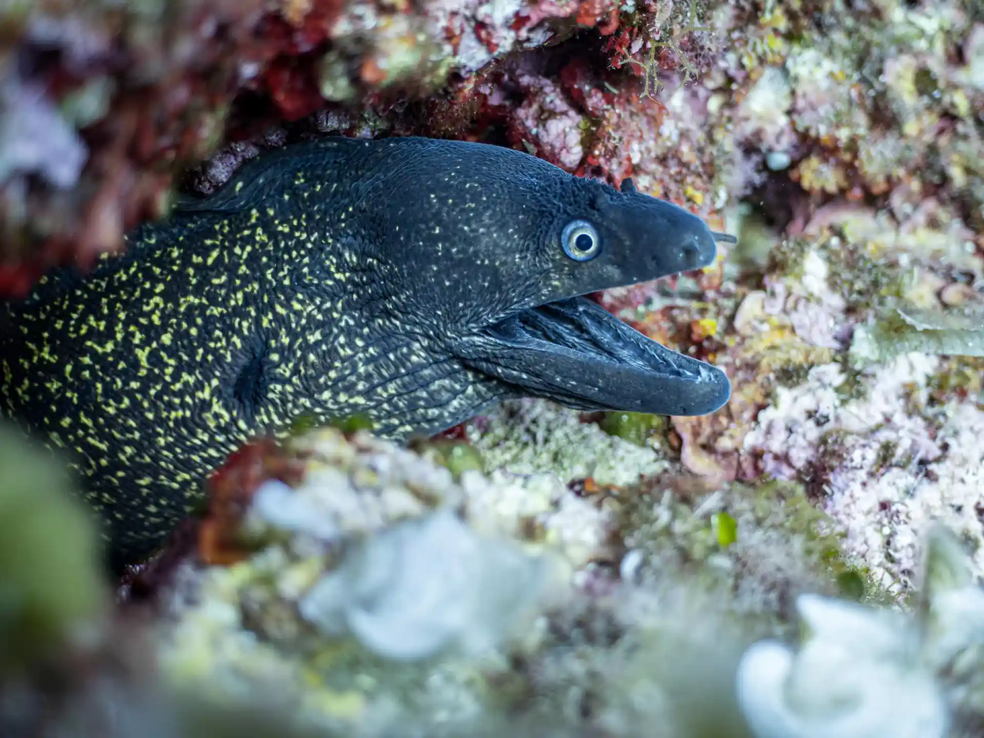 Dive site photo
