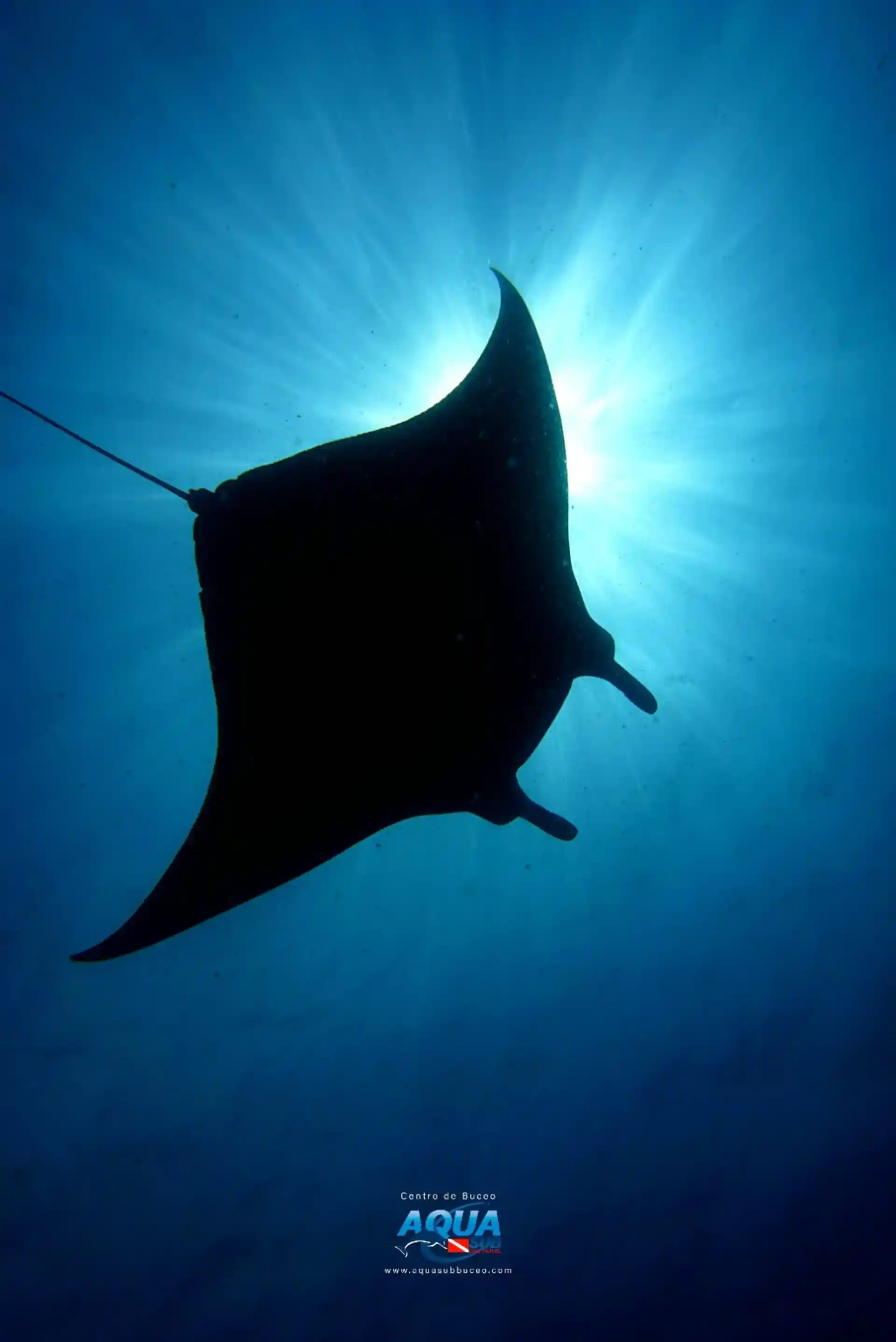 Foto de la actividad