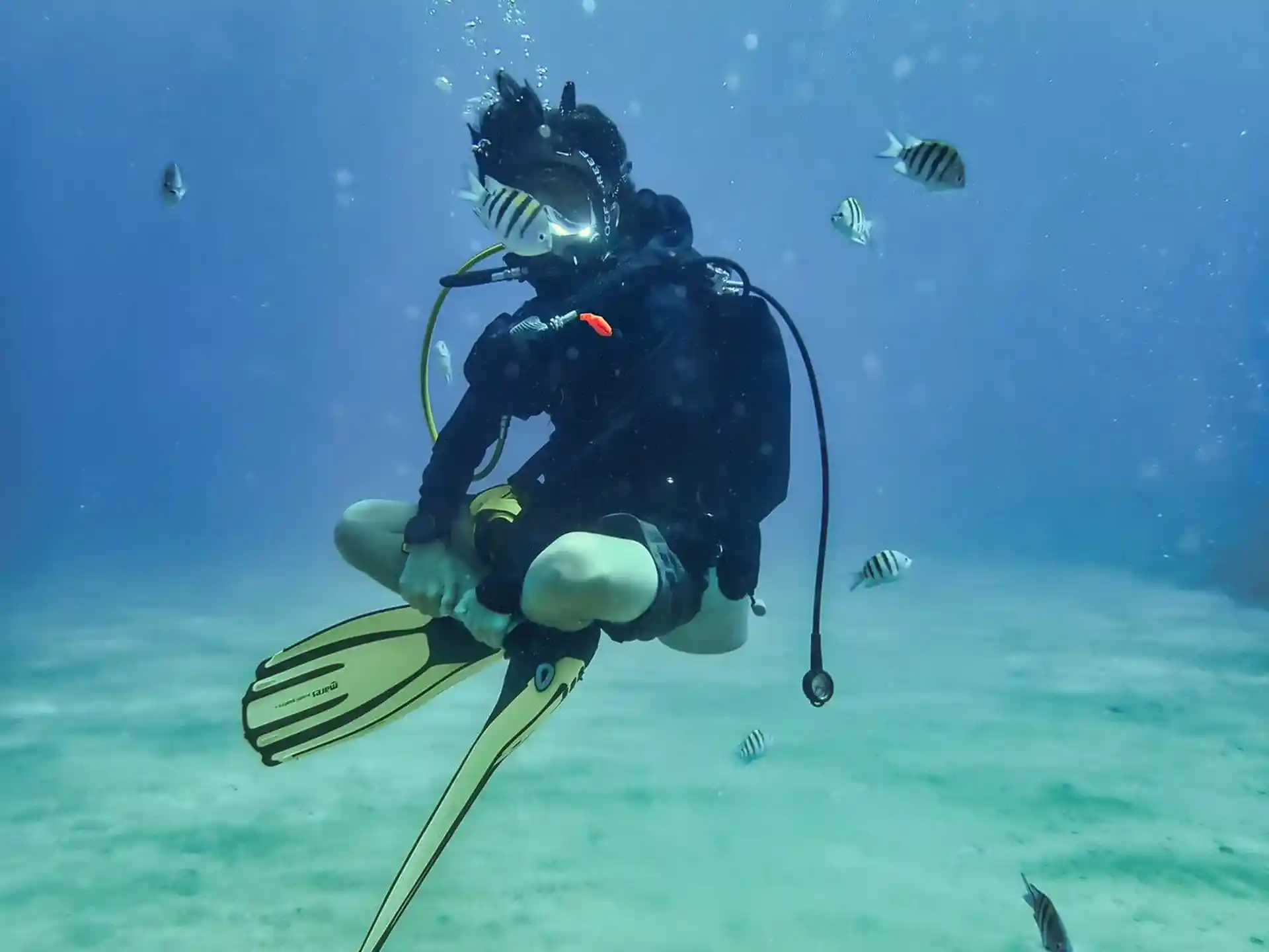 Dive site photo