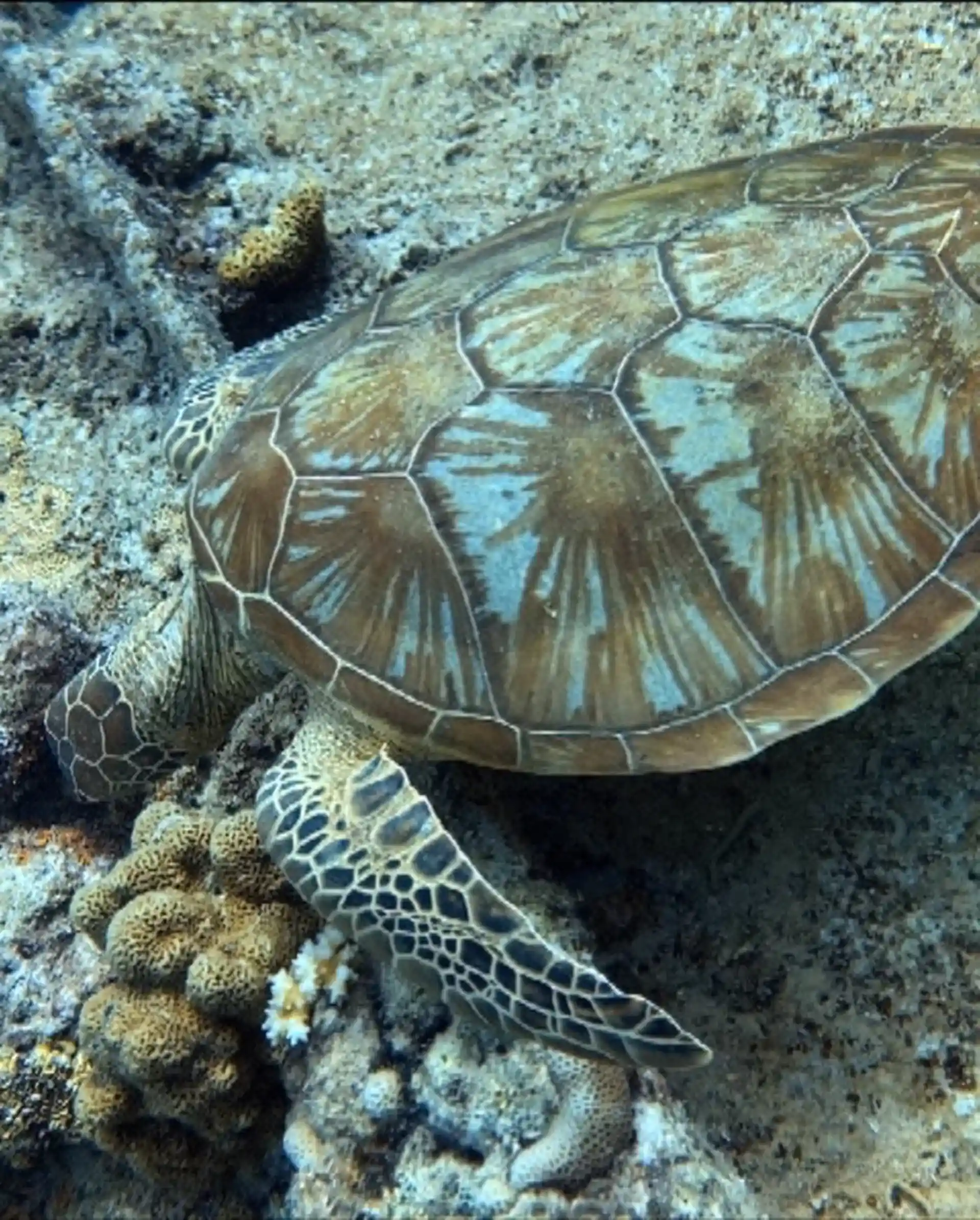 Foto de la actividad