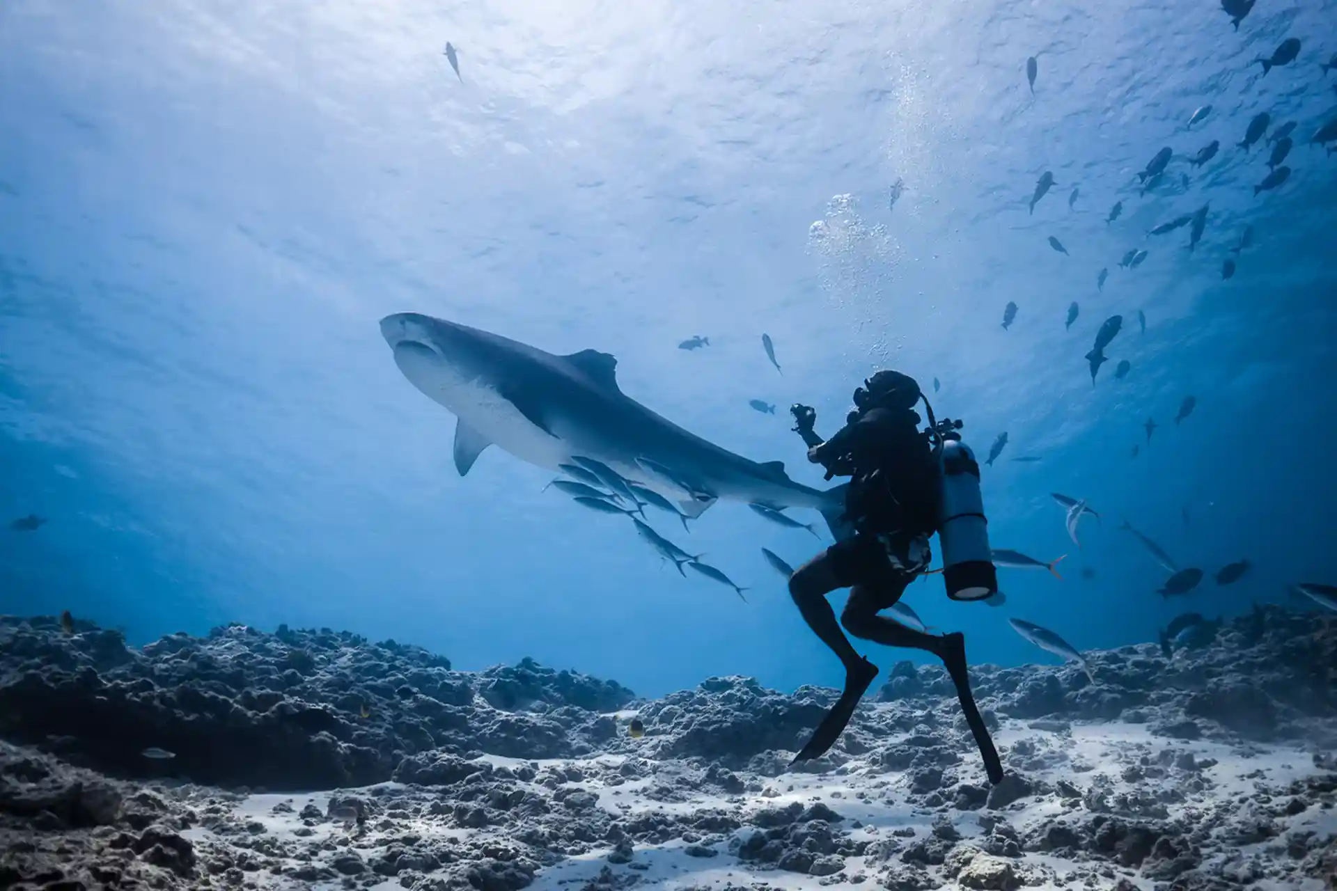 Dive shop photo