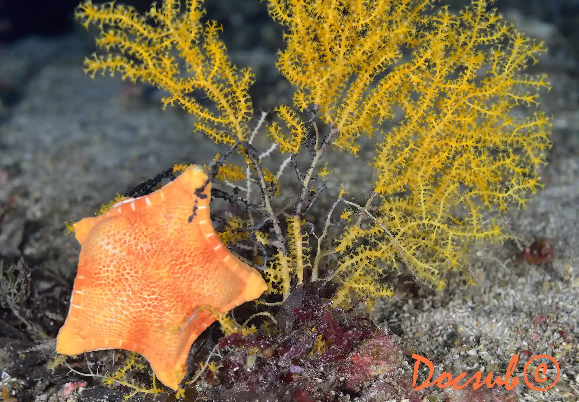 Foto des Tauchplatzes