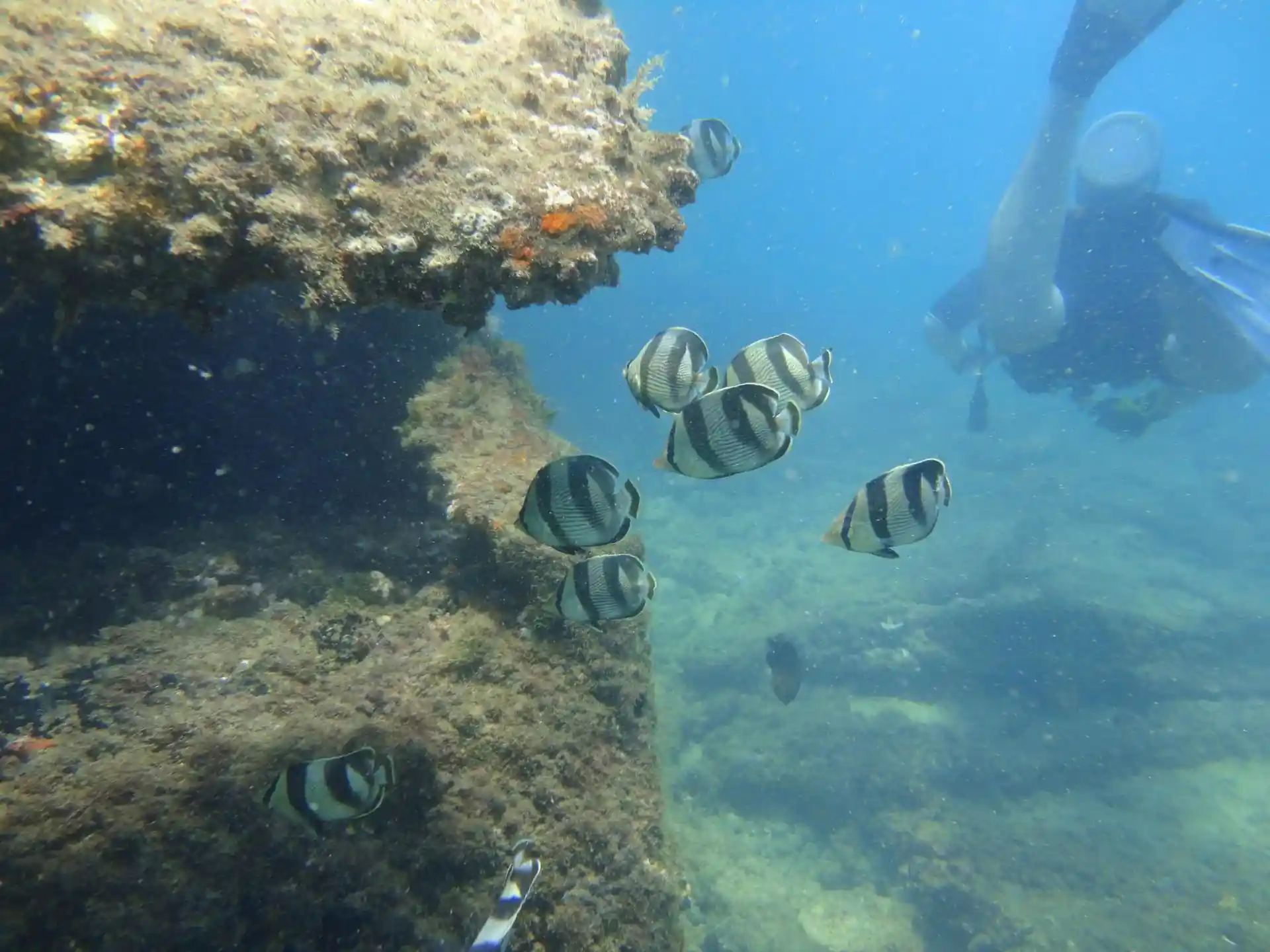 Dive site photo