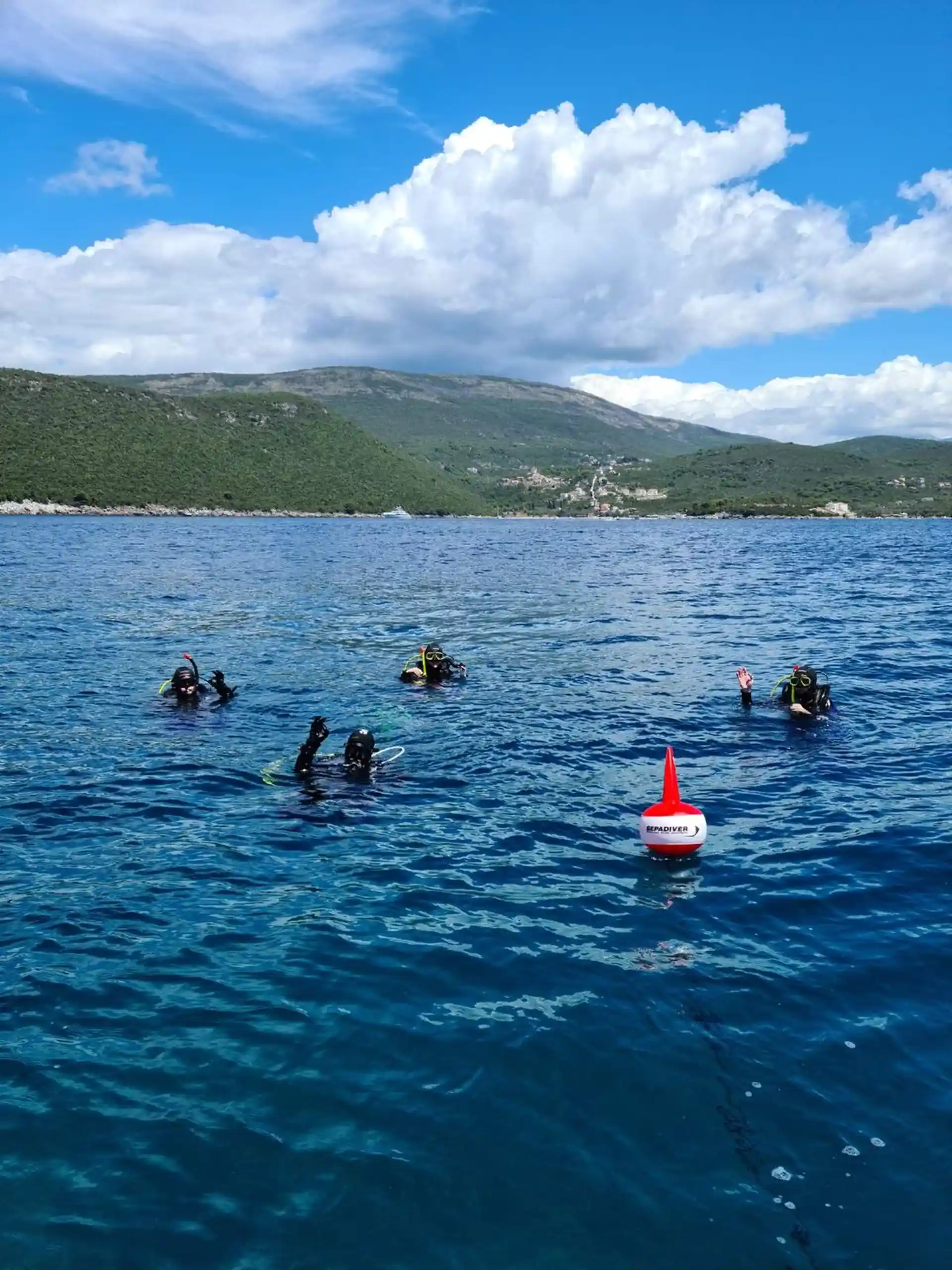 ダイビングサイトの写真