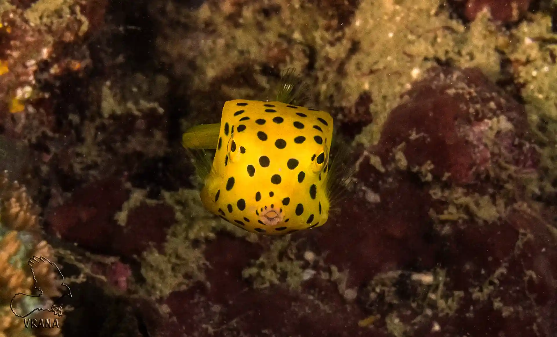Dive shop photo