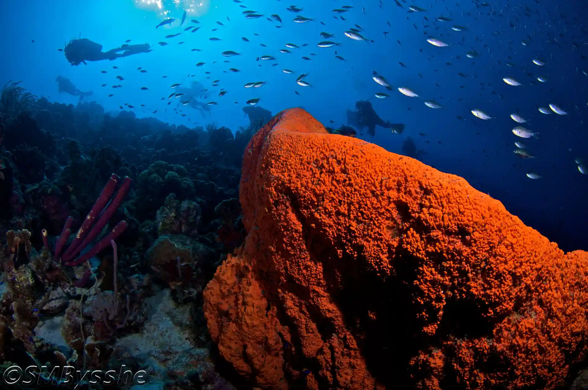 Foto de la actividad