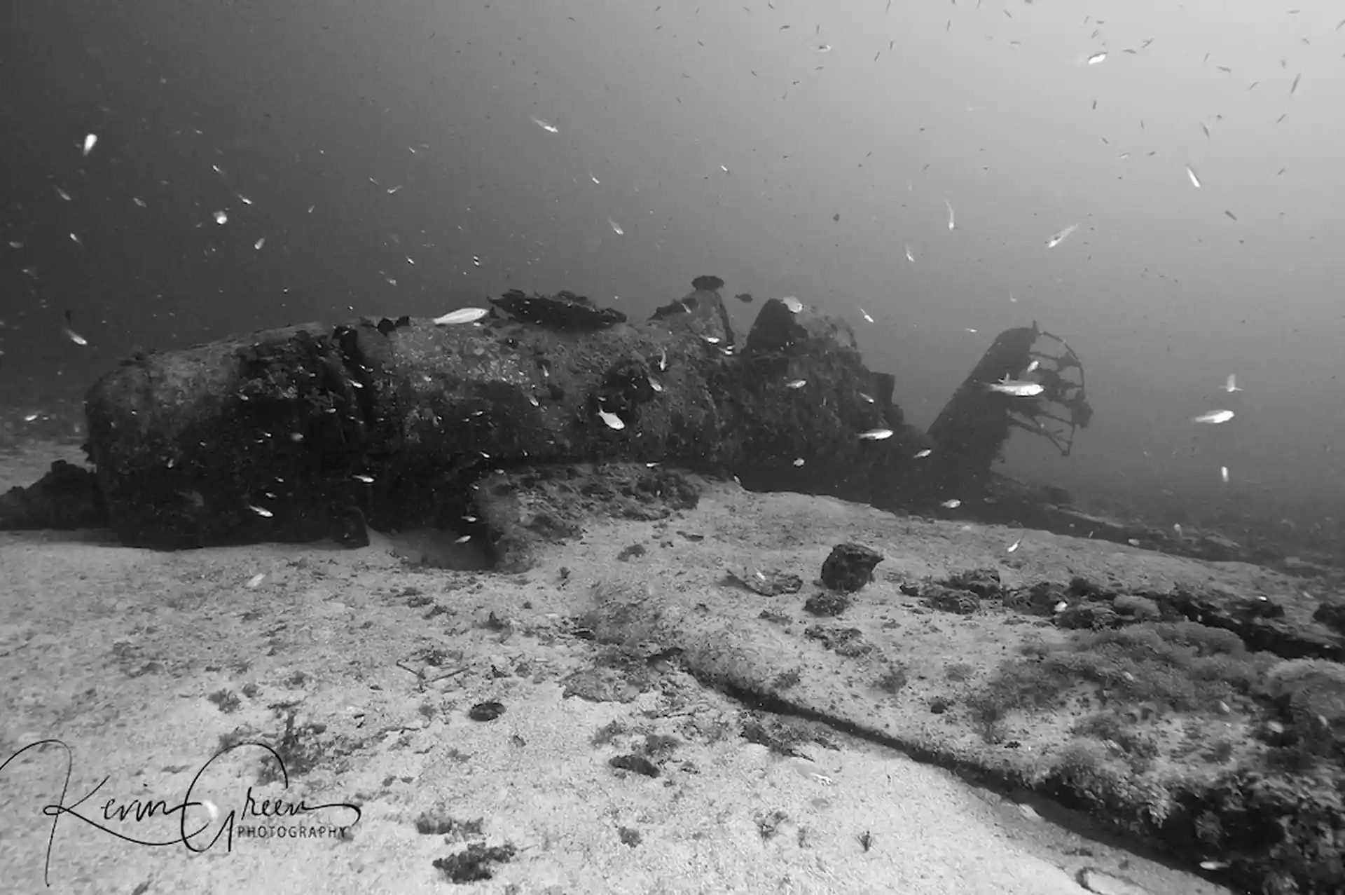 Dive site photo