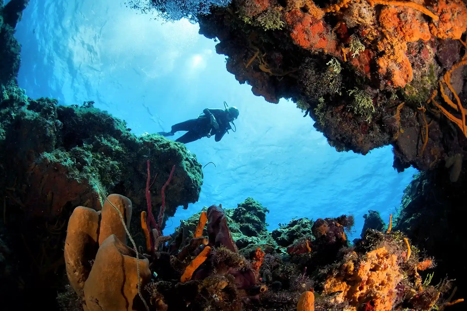 Dive shop photo