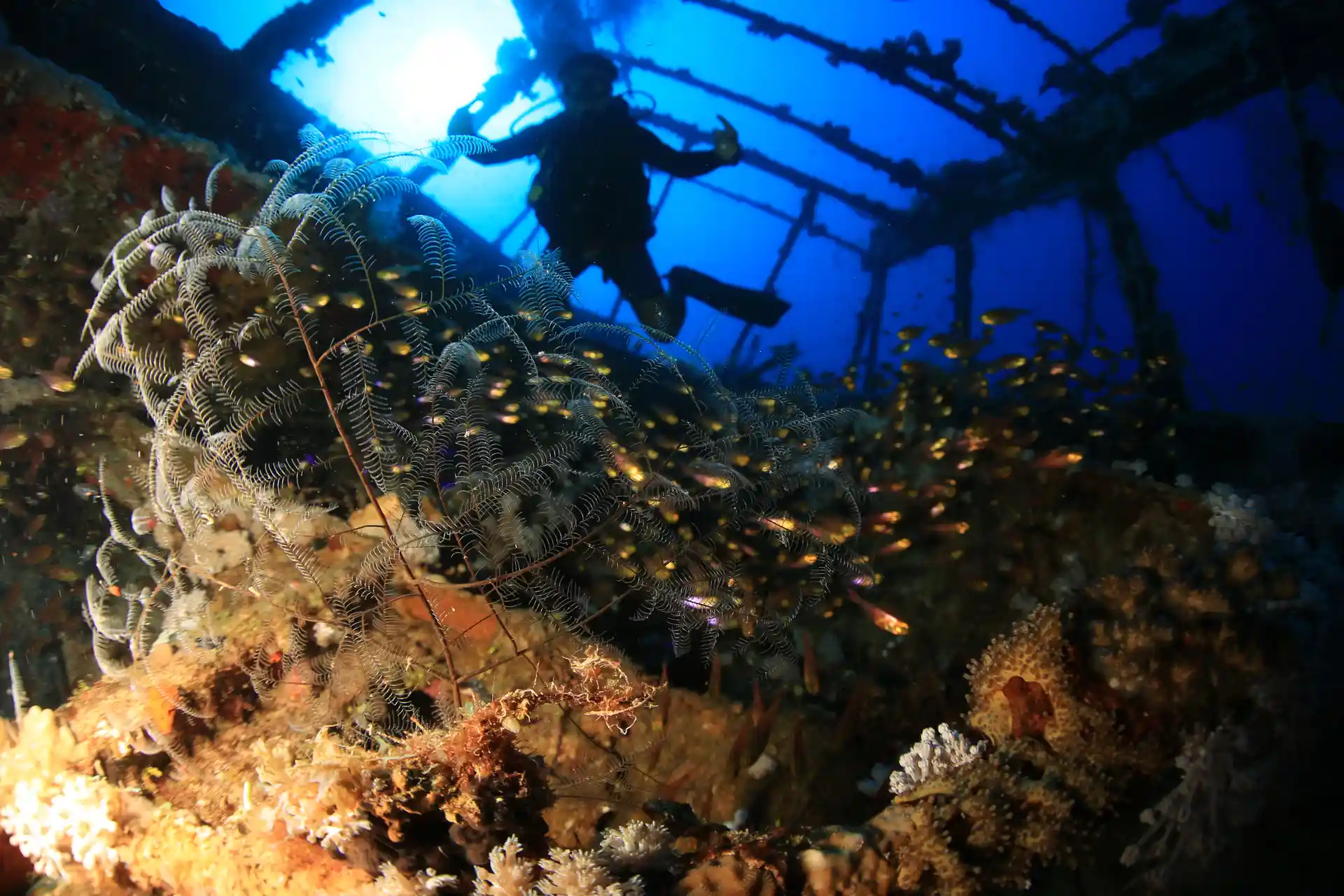 Dive shop photo