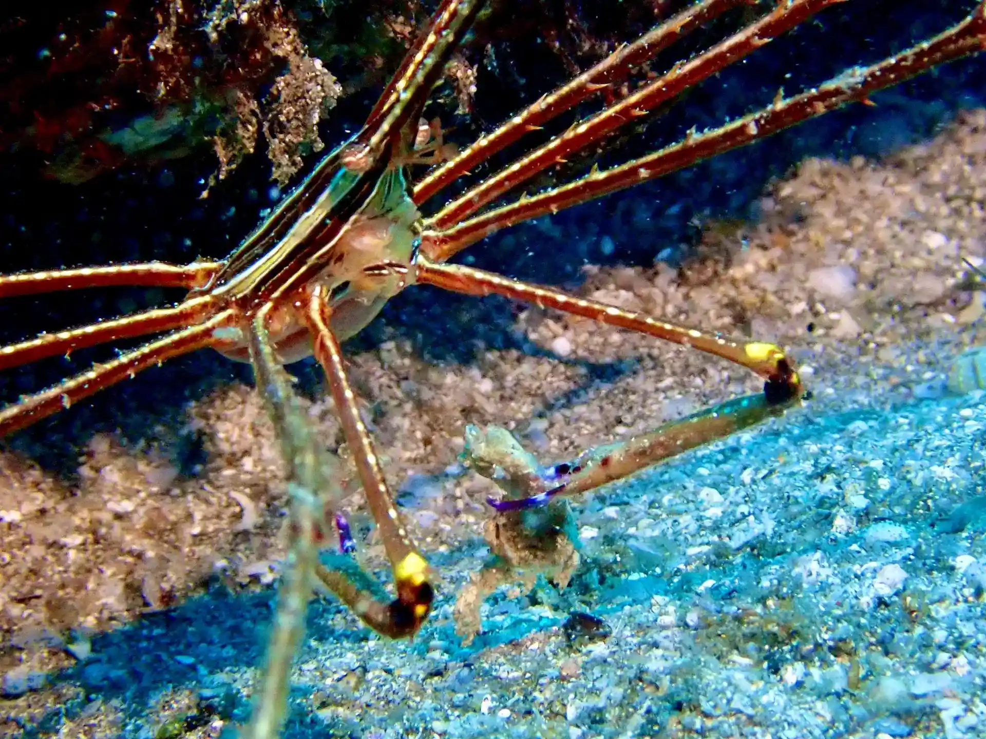 Dive site photo