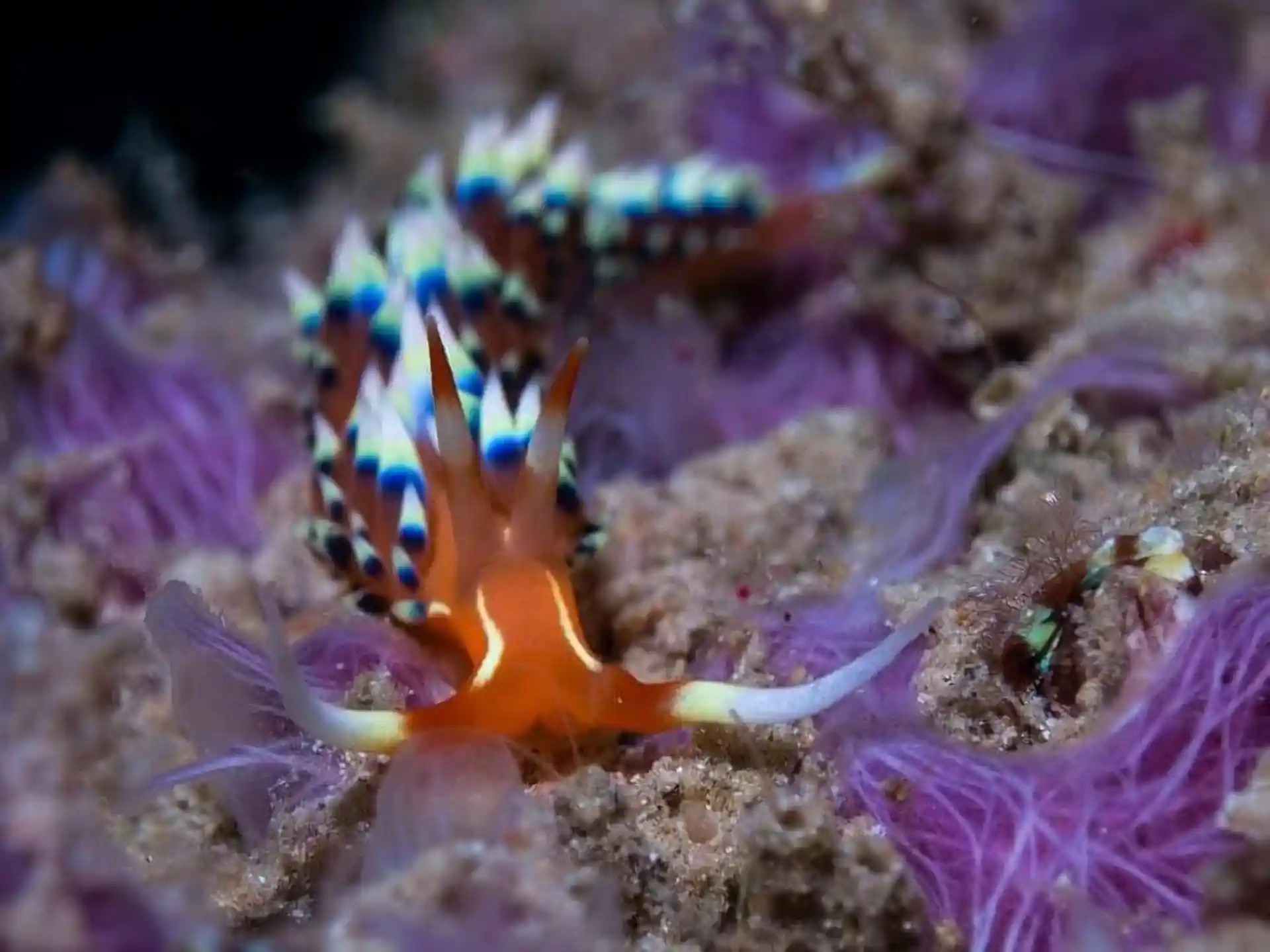 Foto del sitio de buceo