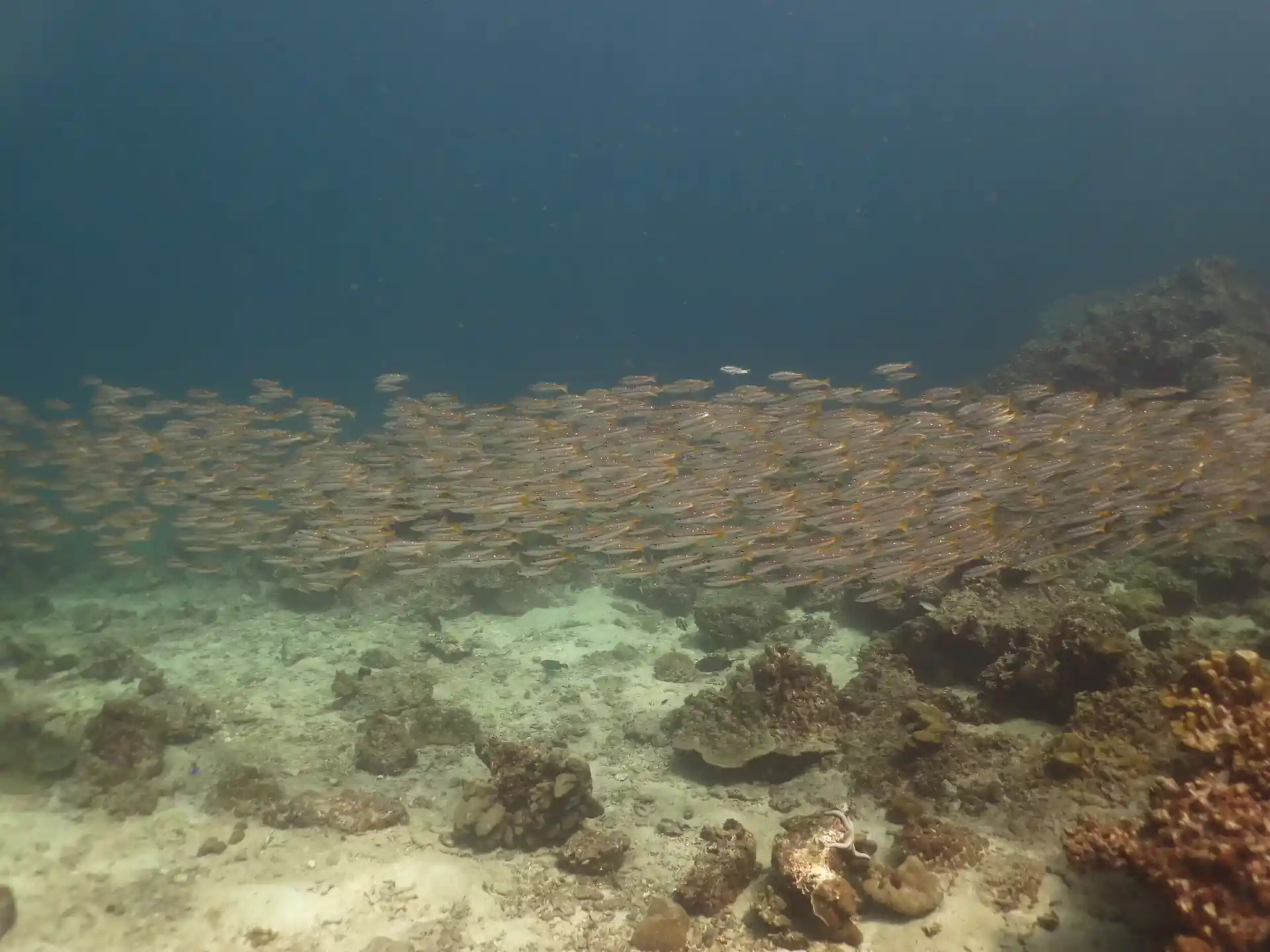 Dive site photo