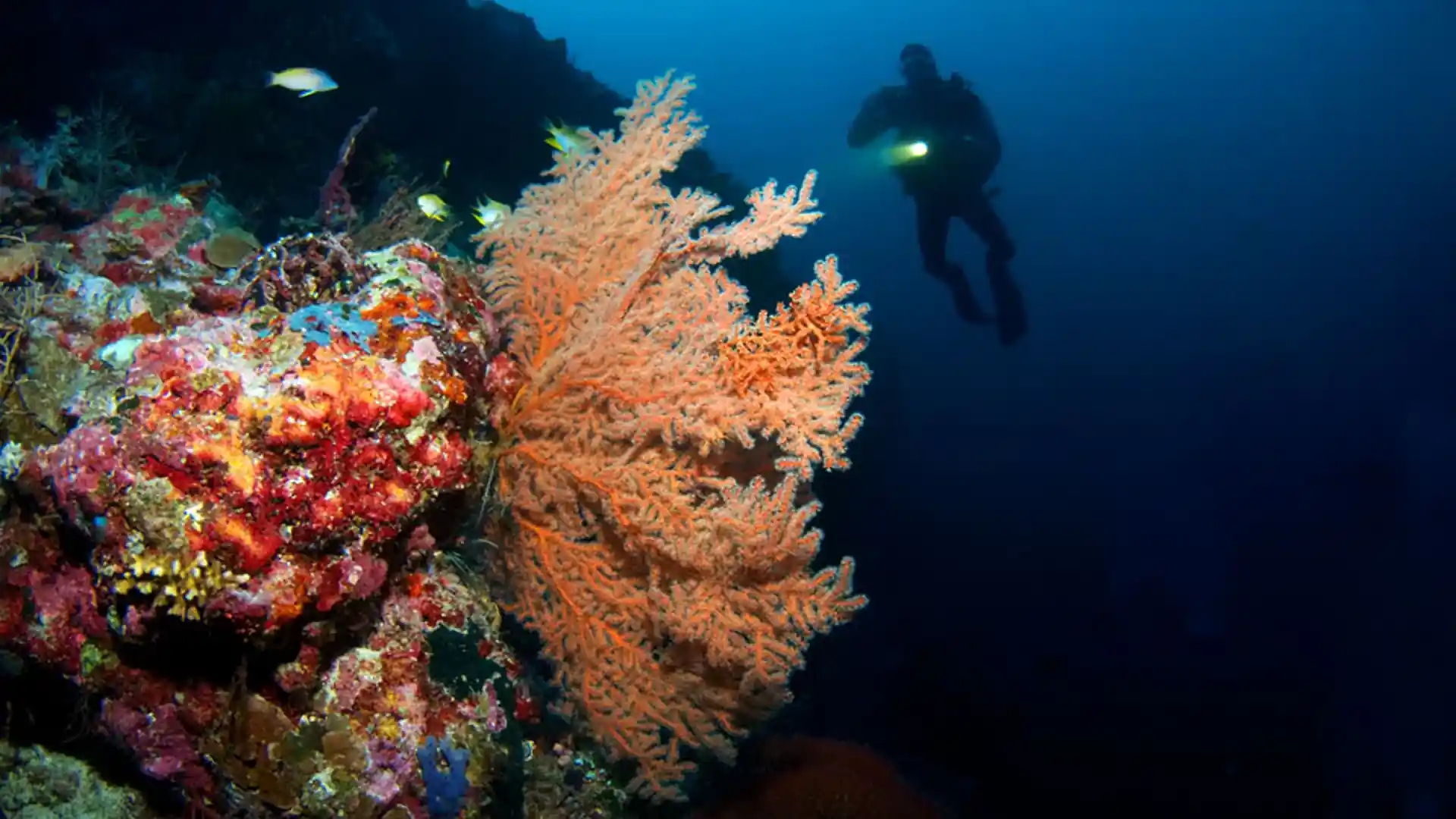 Foto van de duiklocatie