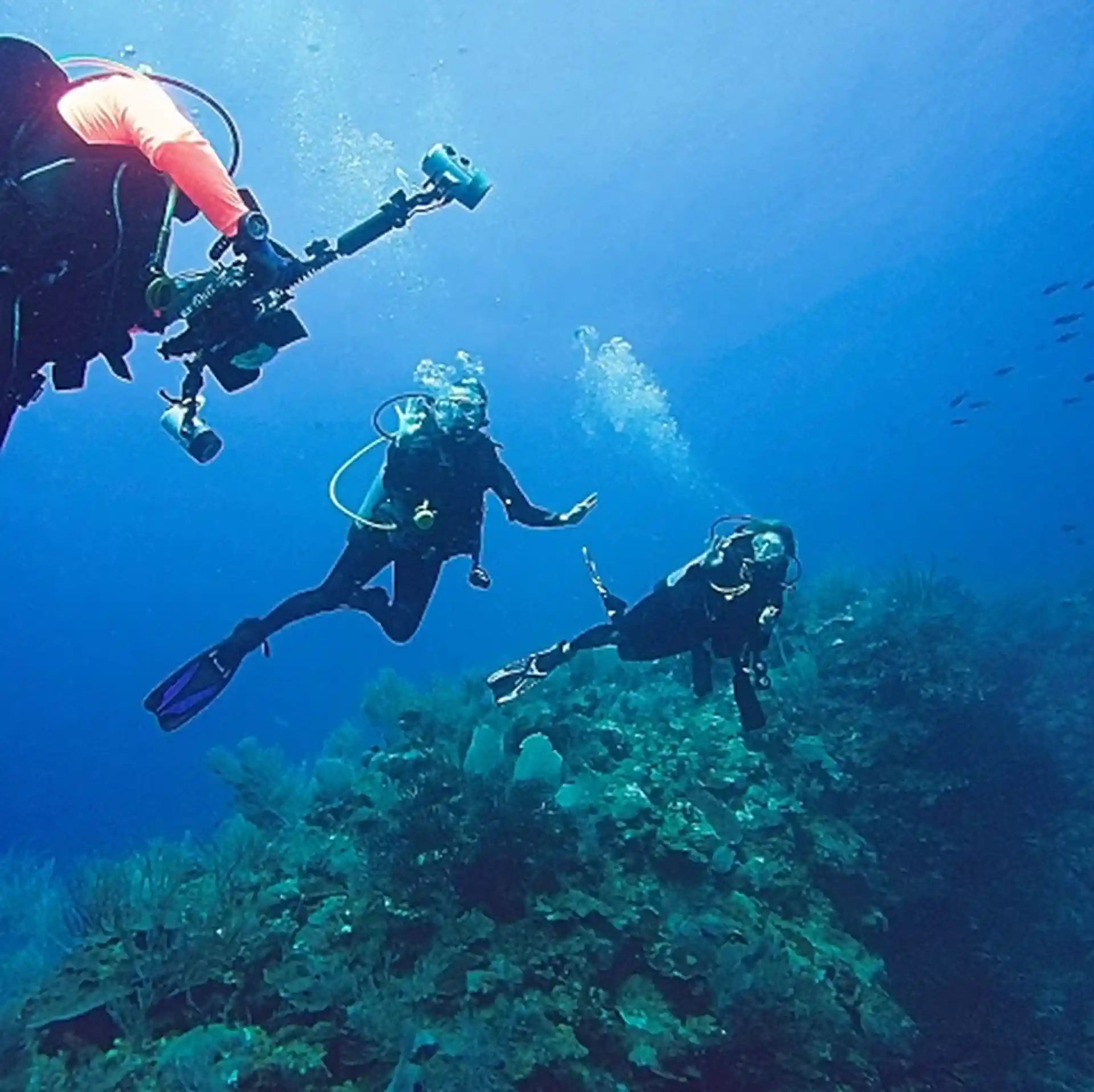 Guided shore dive along the Wall of Rincon, Puerto Rico