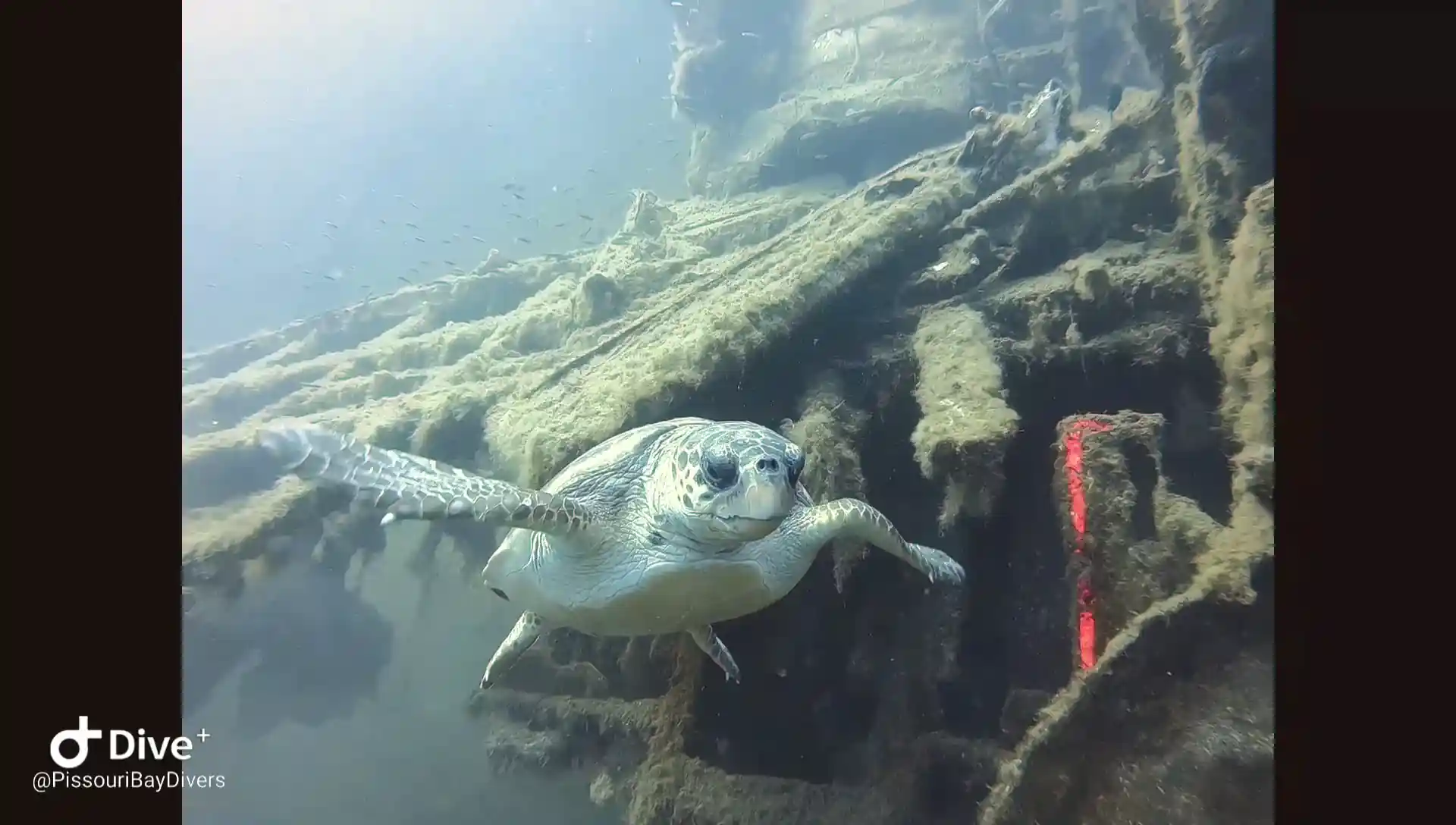 Dive site photo