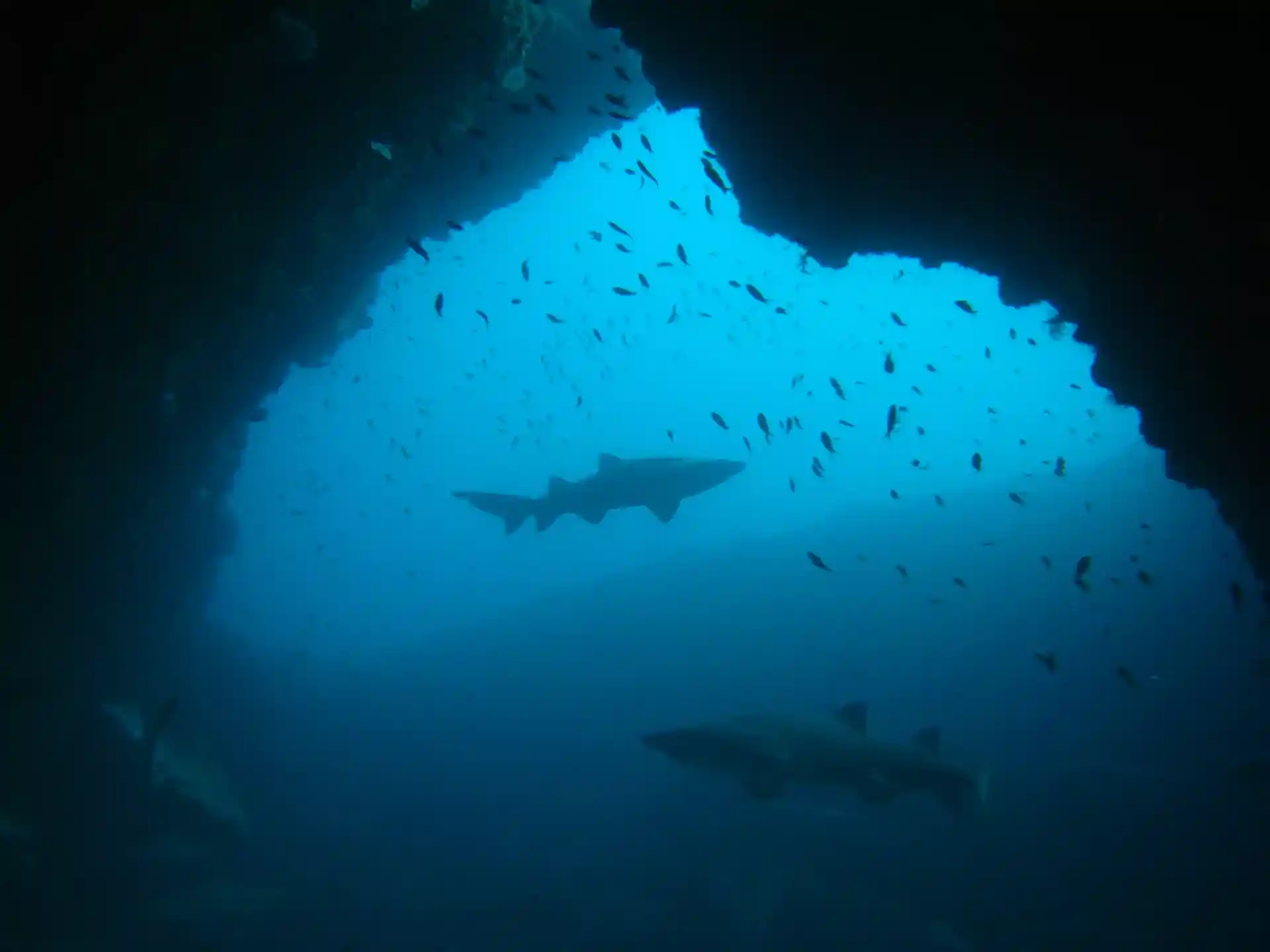 Dive site photo