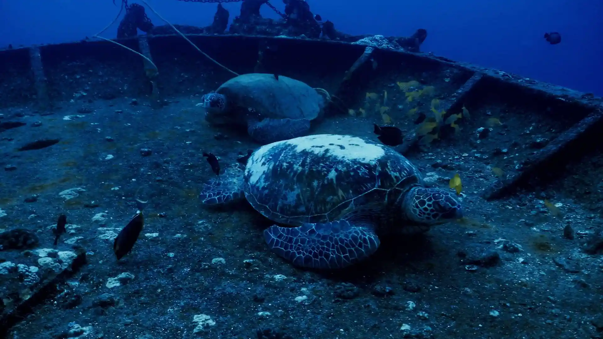Dive site photo