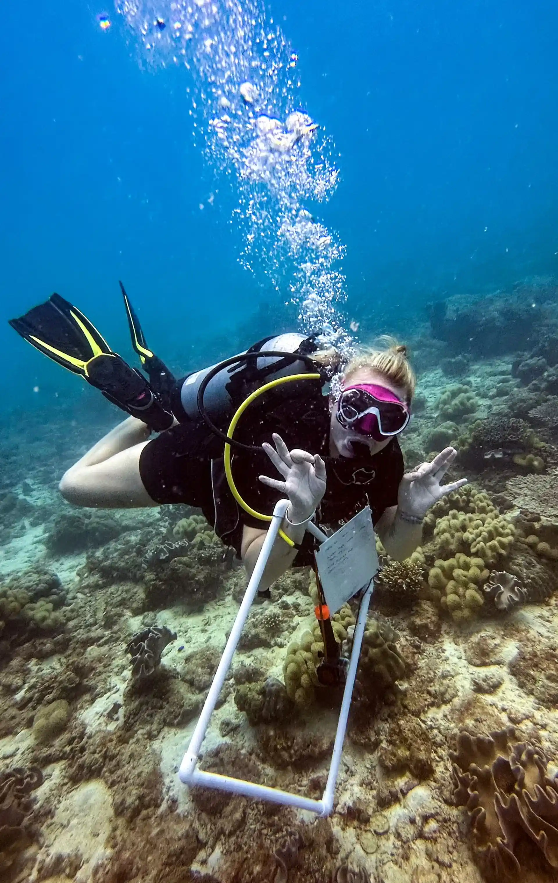 Protect paradise – one dive at a time.