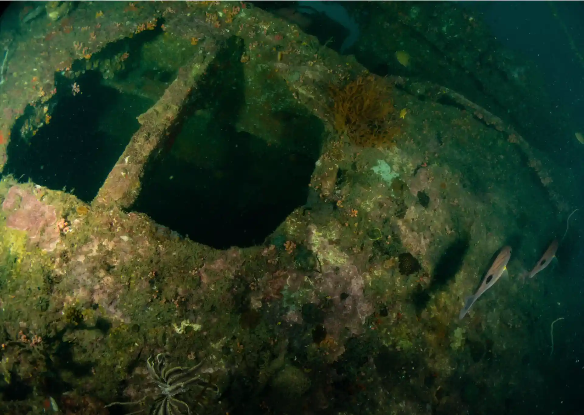 Dive site photo