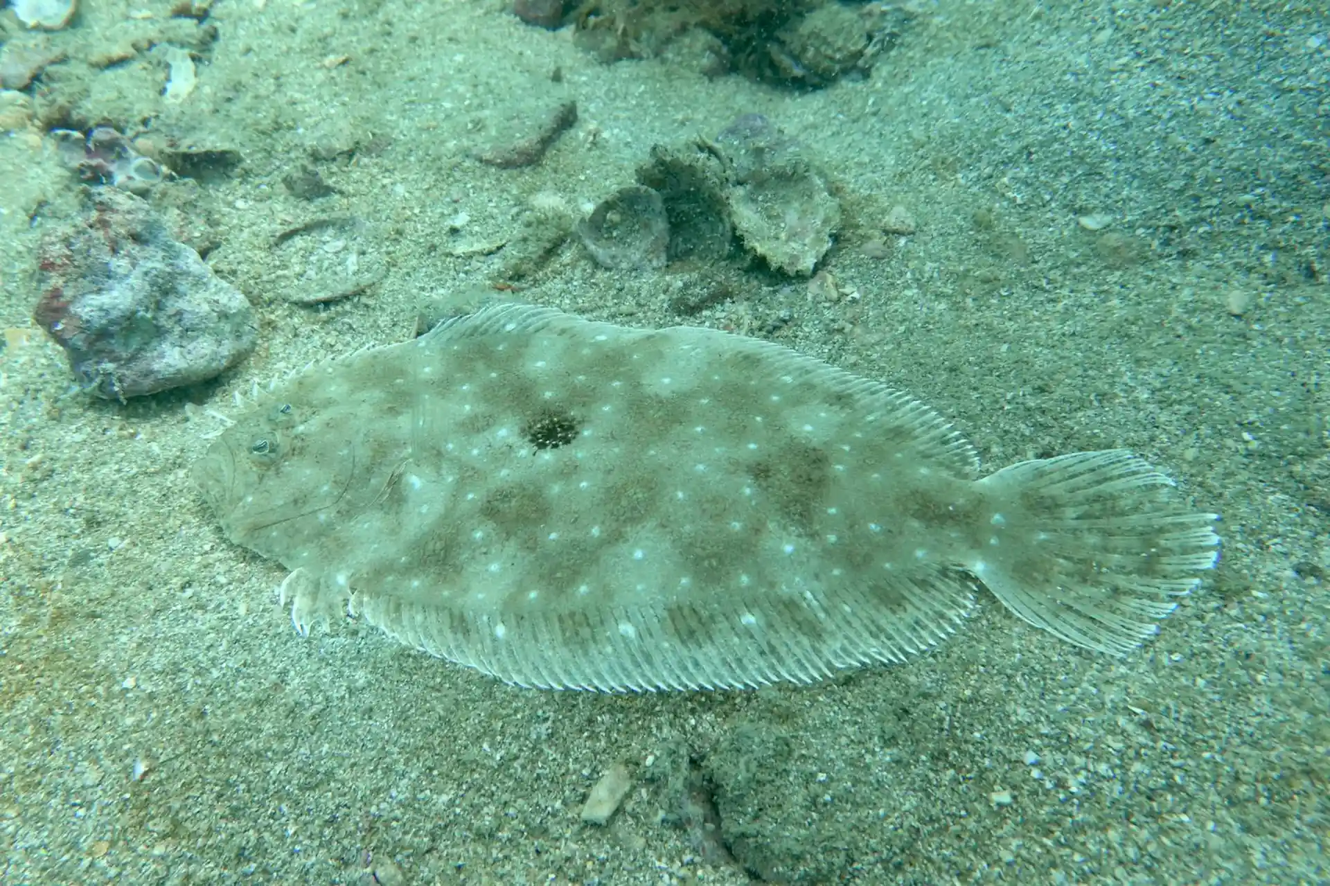 Dive site photo