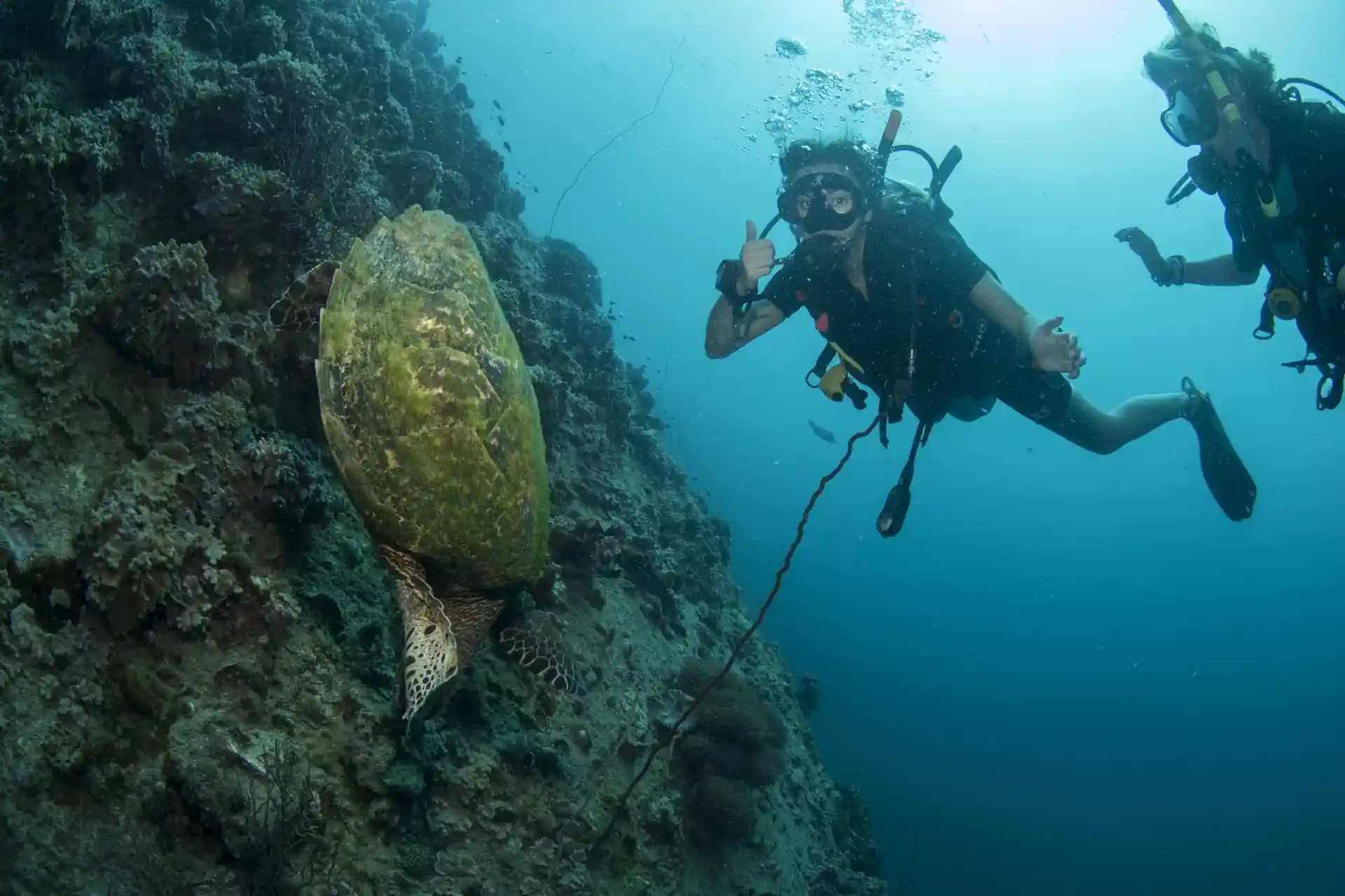 Foto des Tauchplatzes