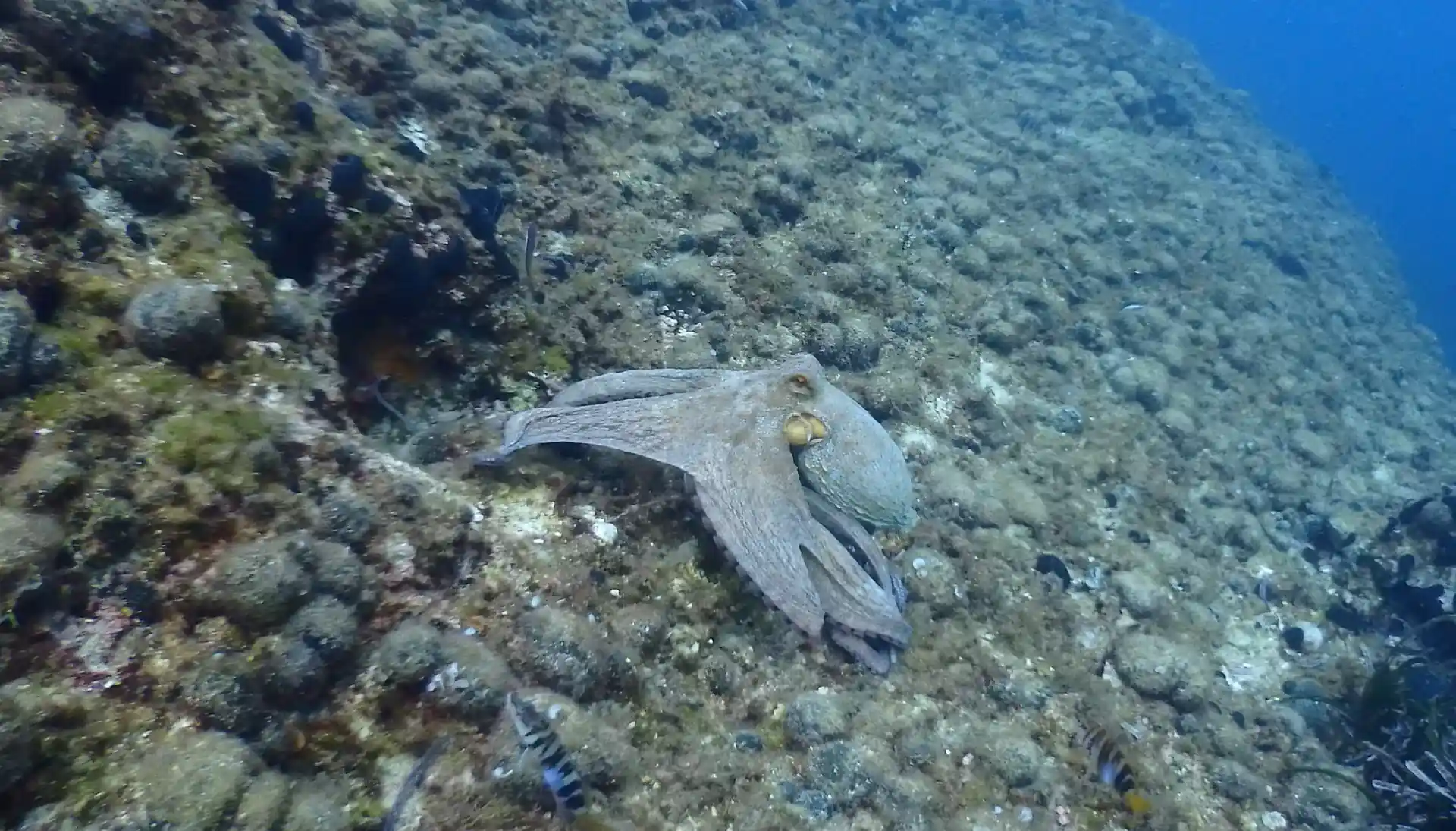 Ammira l'acqua in sicurezza!