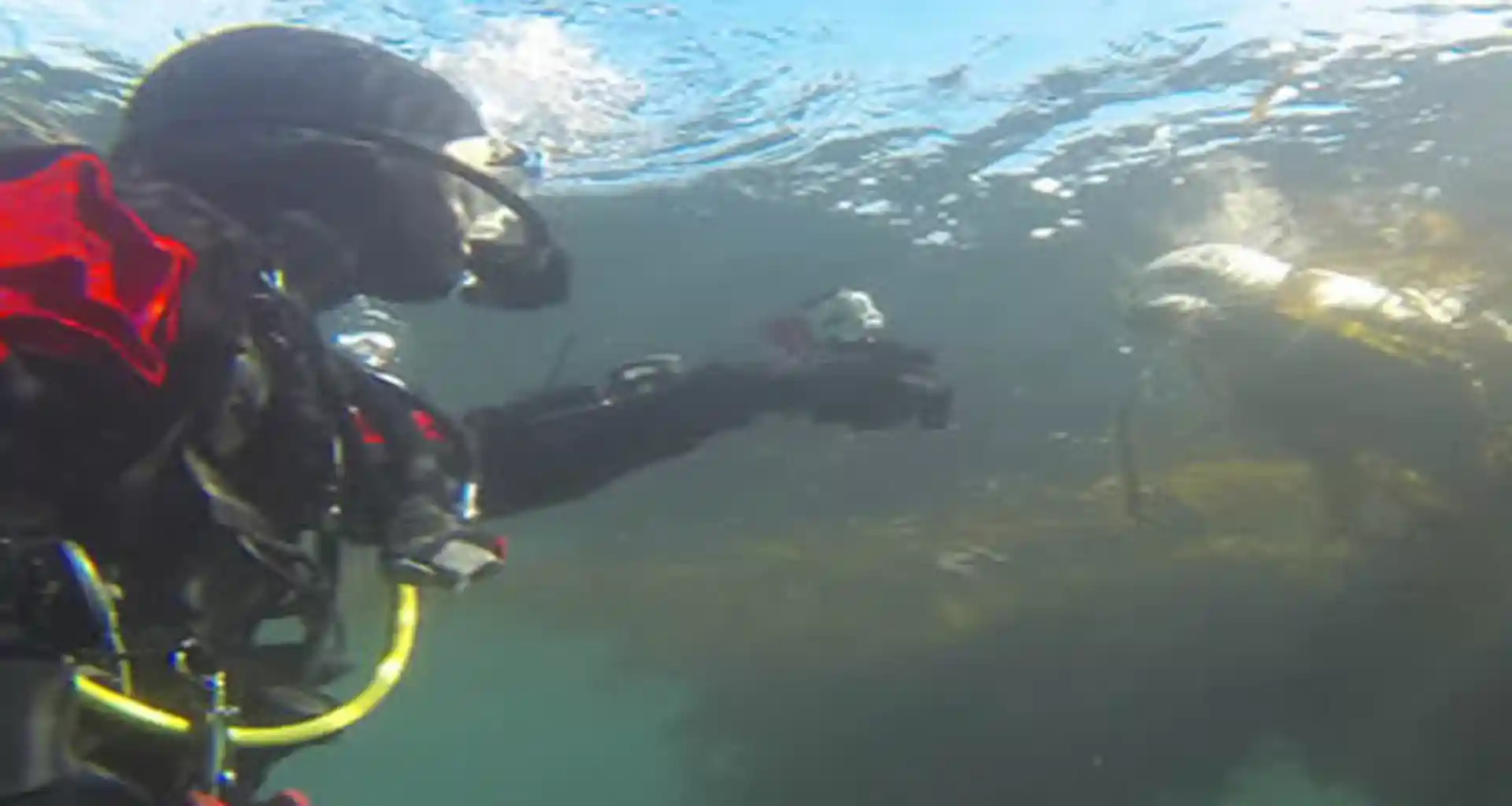 Dive site photo